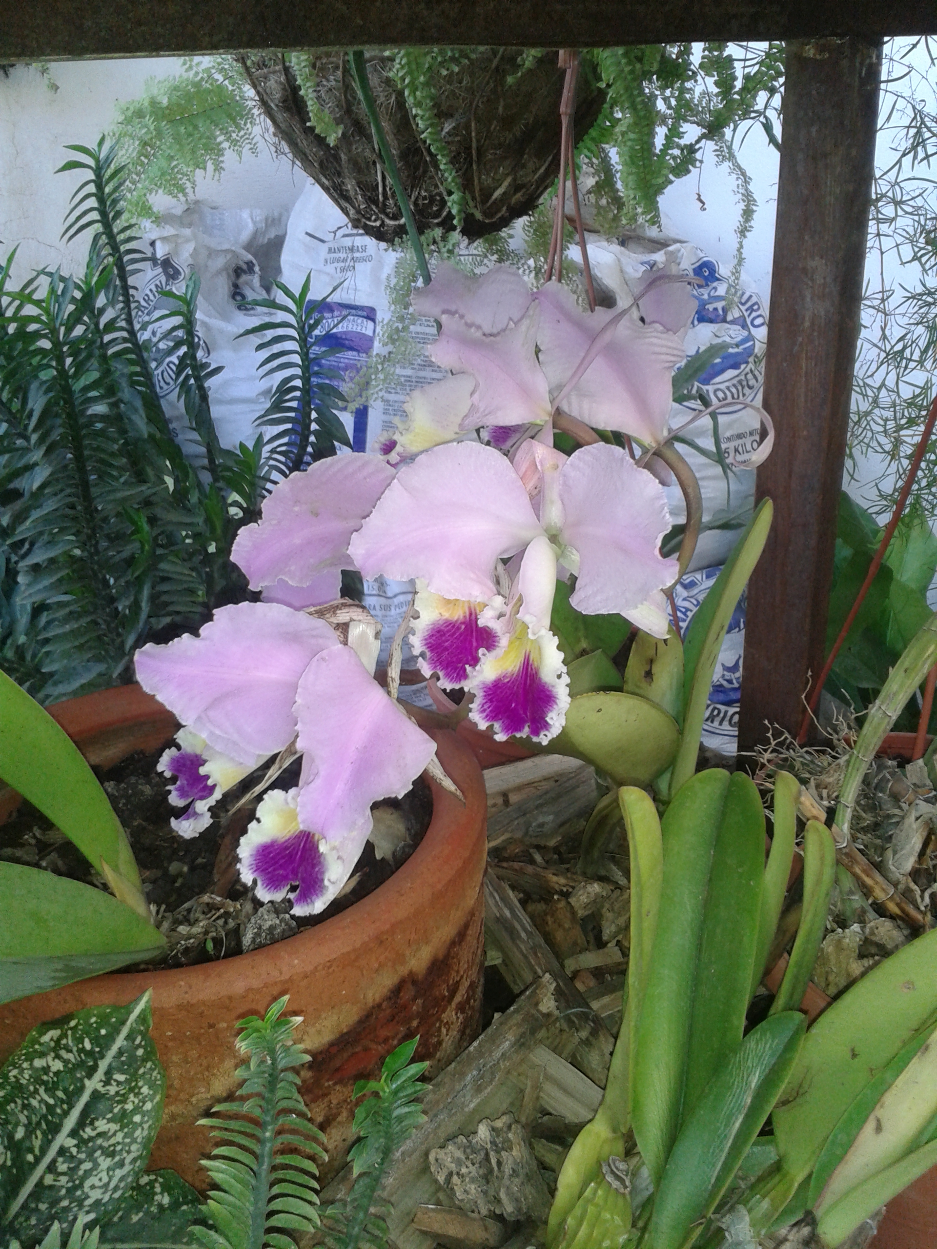 20160506_064658.jpg