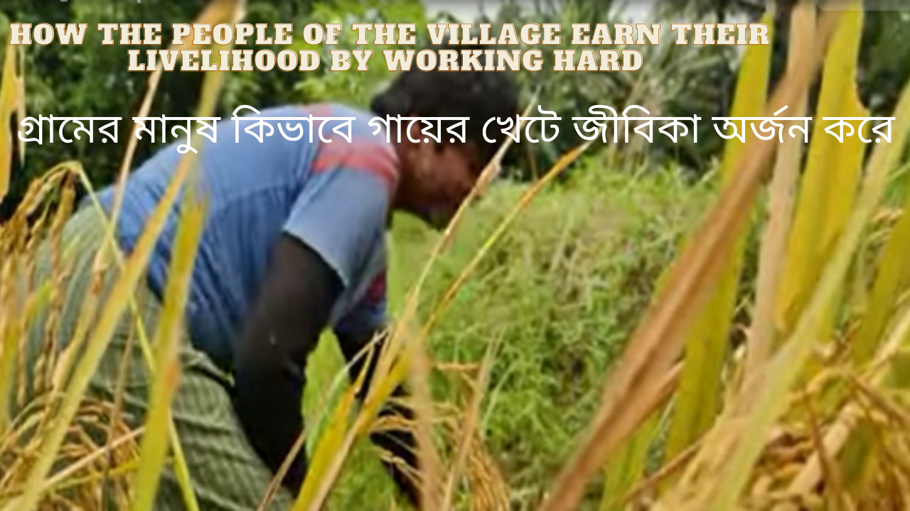How Naga villagers working hard to earn their daily food Village life in Nagaland.png