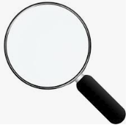 focusandview