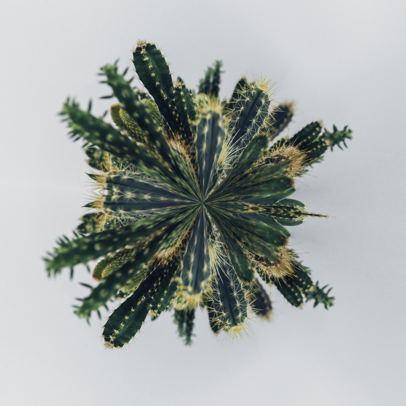 image3A16957_mirror3.png