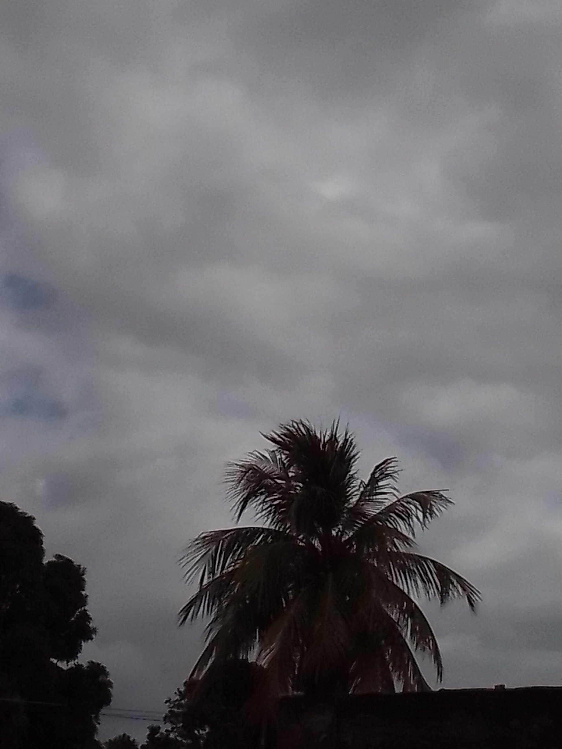 IMG_20220122_102401.jpg