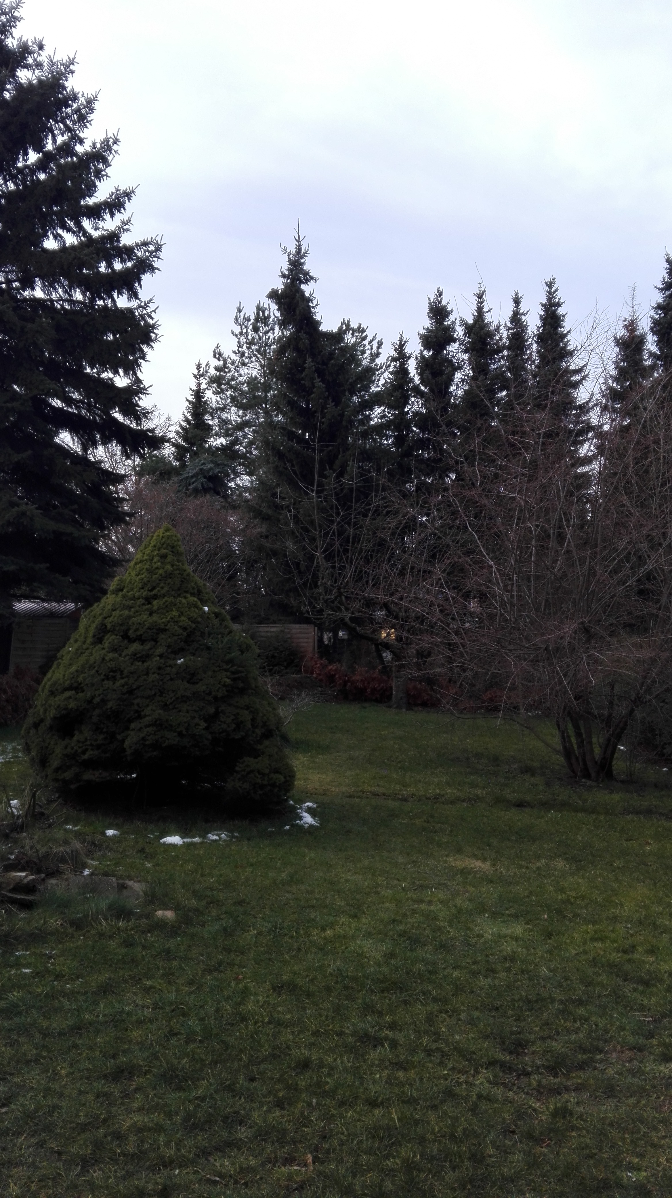 IMG_20200229_120247.jpg