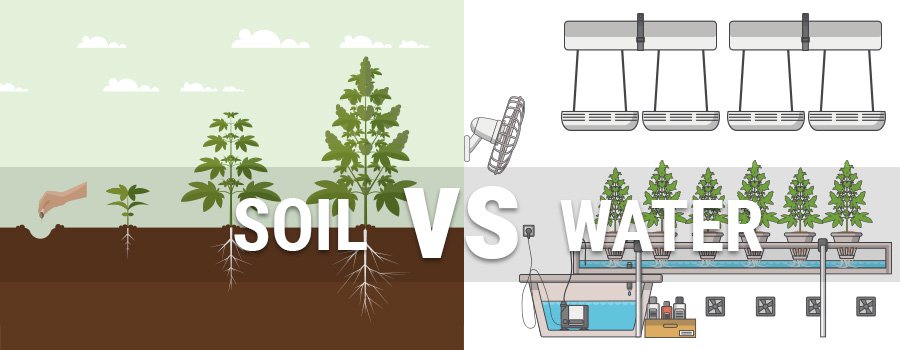 soil-vs-hydroponics.jpg