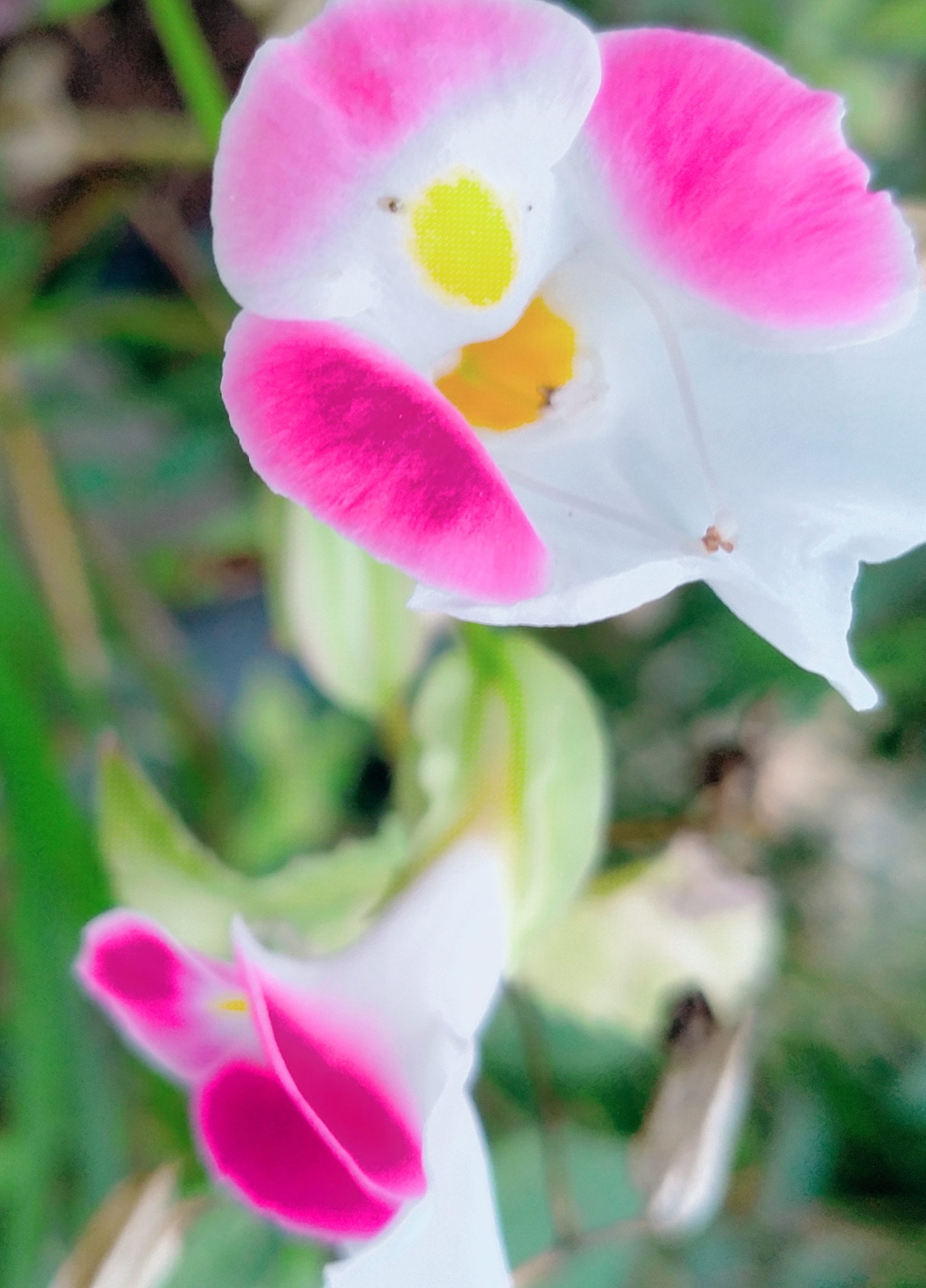 IMG_20201009_132423.jpg