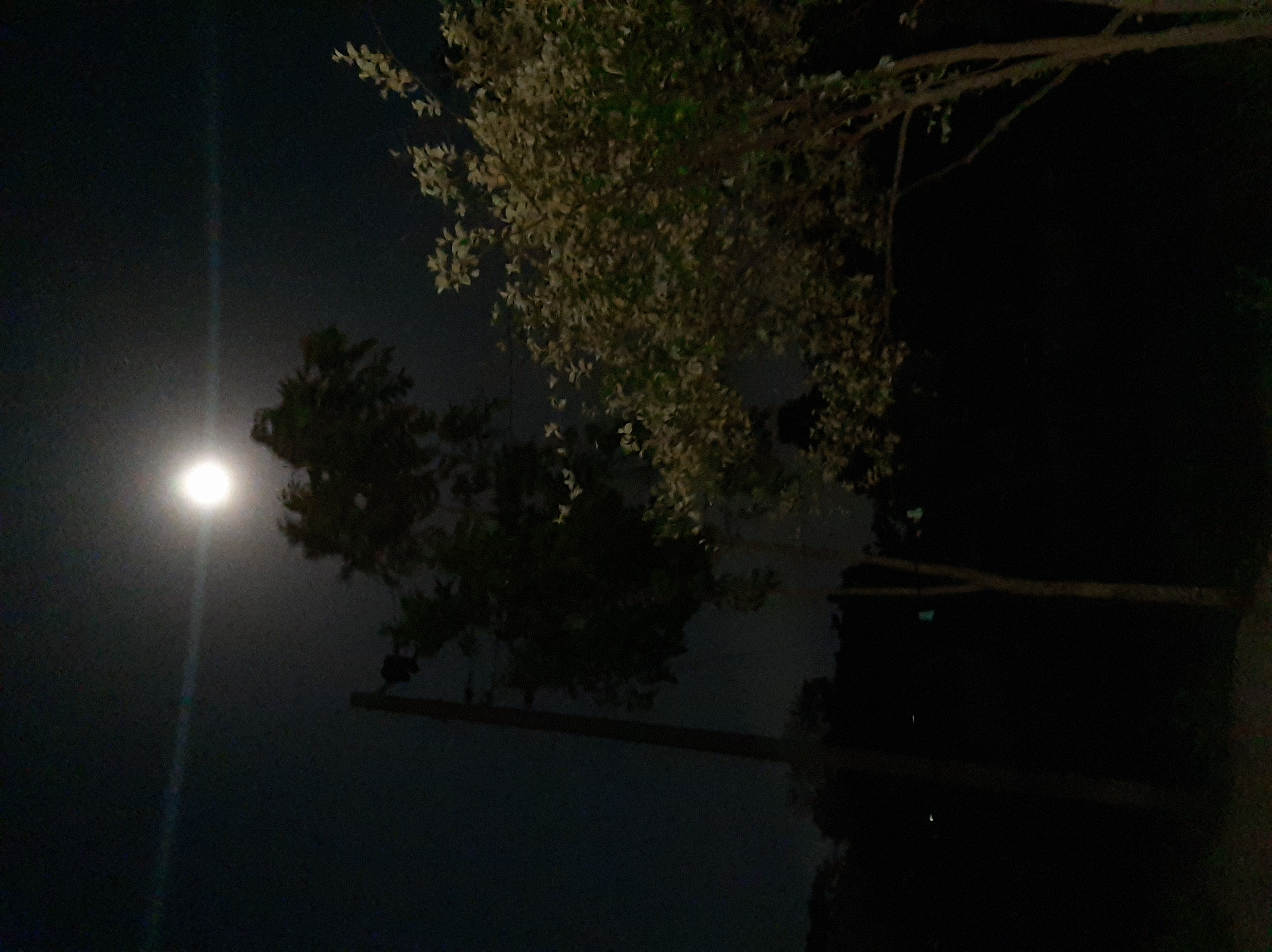 20210526_220217.jpg
