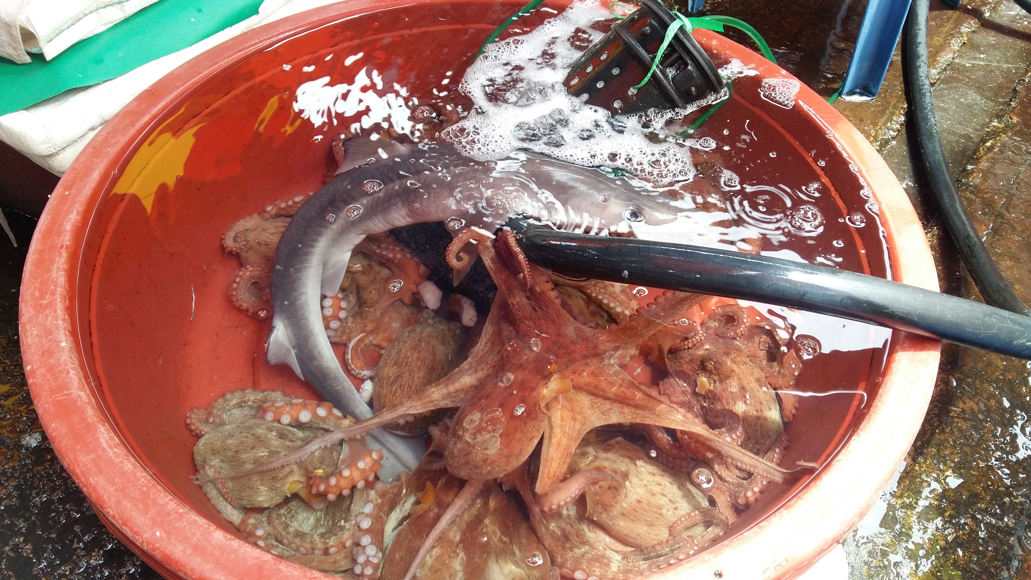 20180527_125647.jpg