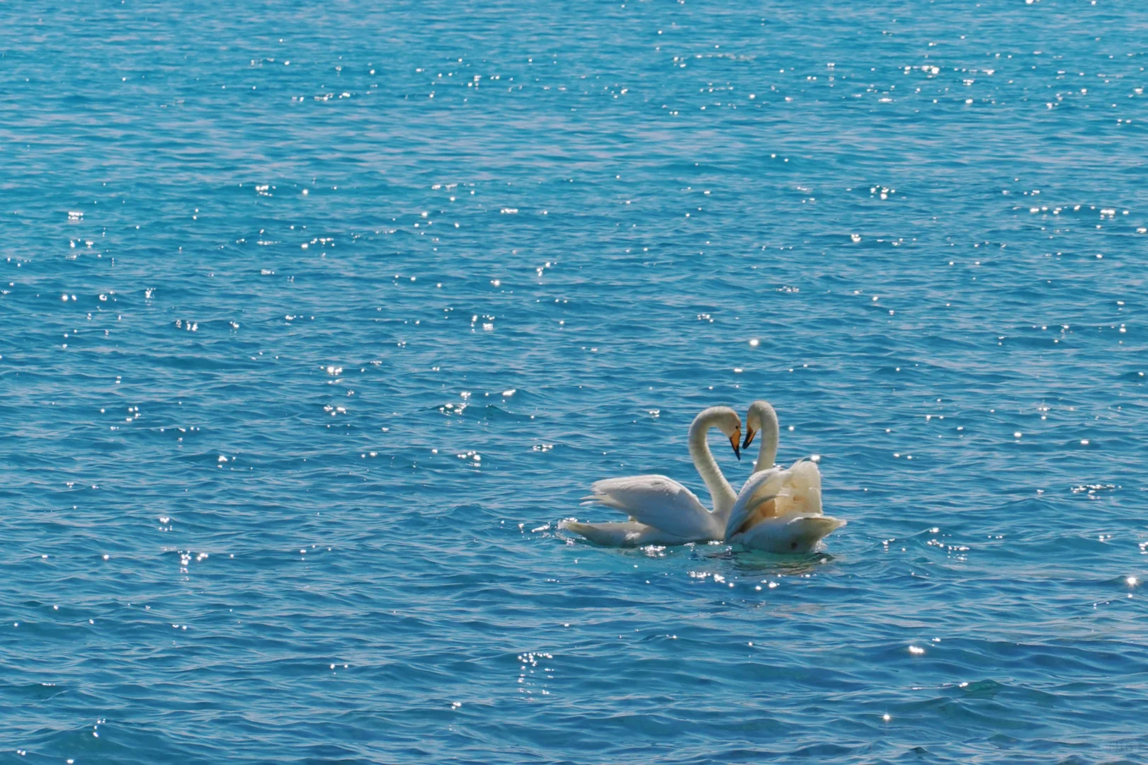 271.webp