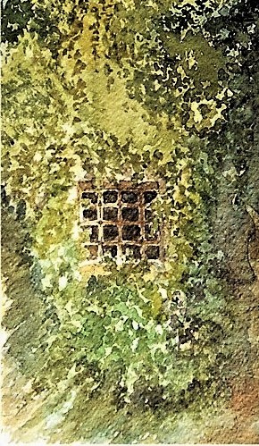 gli_occhi_dell_edera_(2006)ccccc.jpg