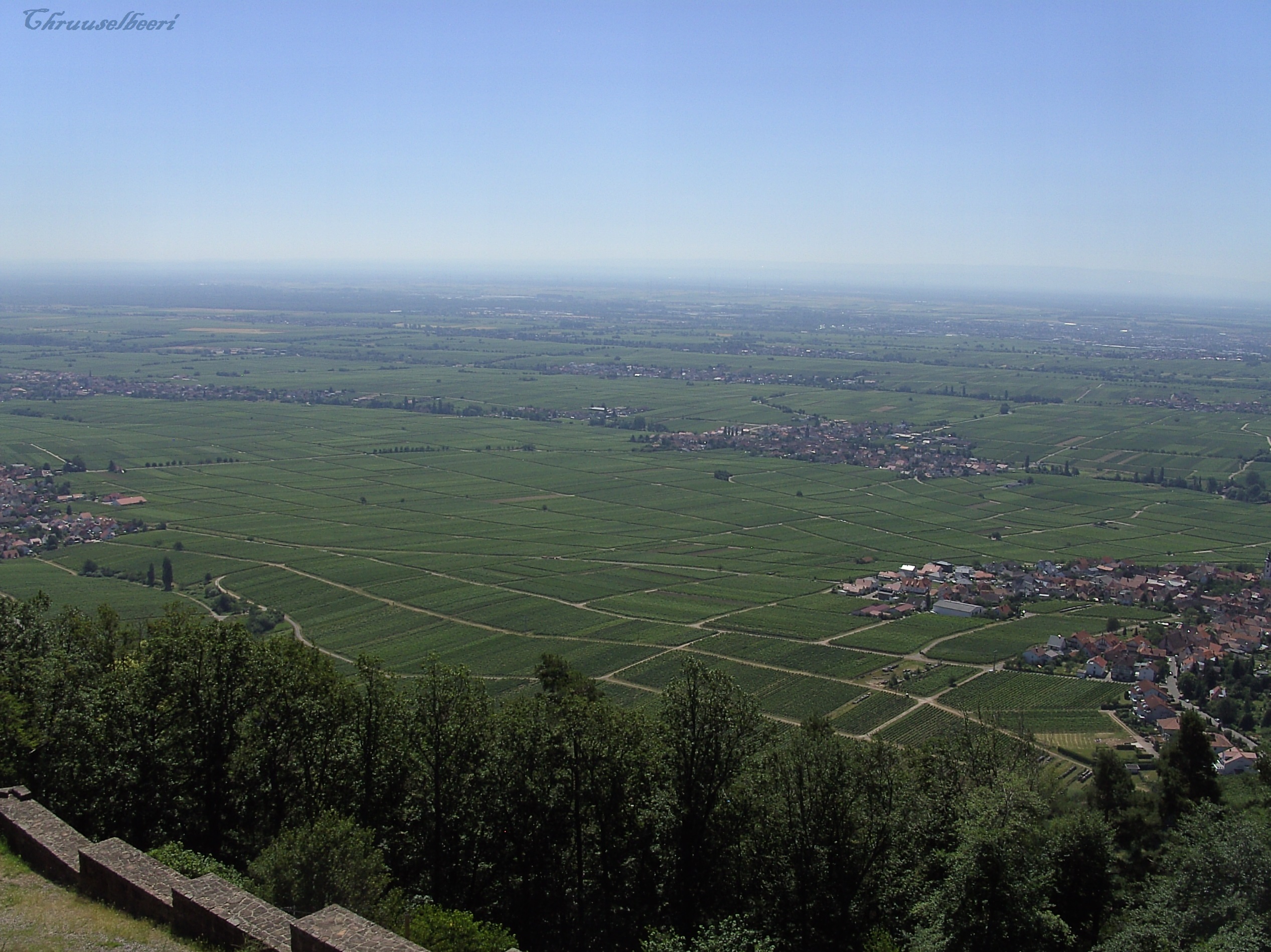 Rietburg_06.jpg
