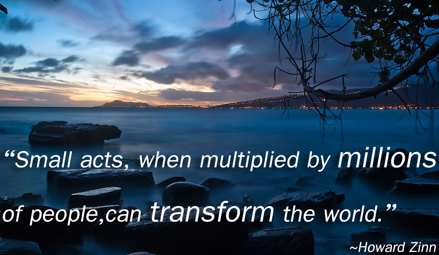 Howard Zinn - small acts people change world.jpg
