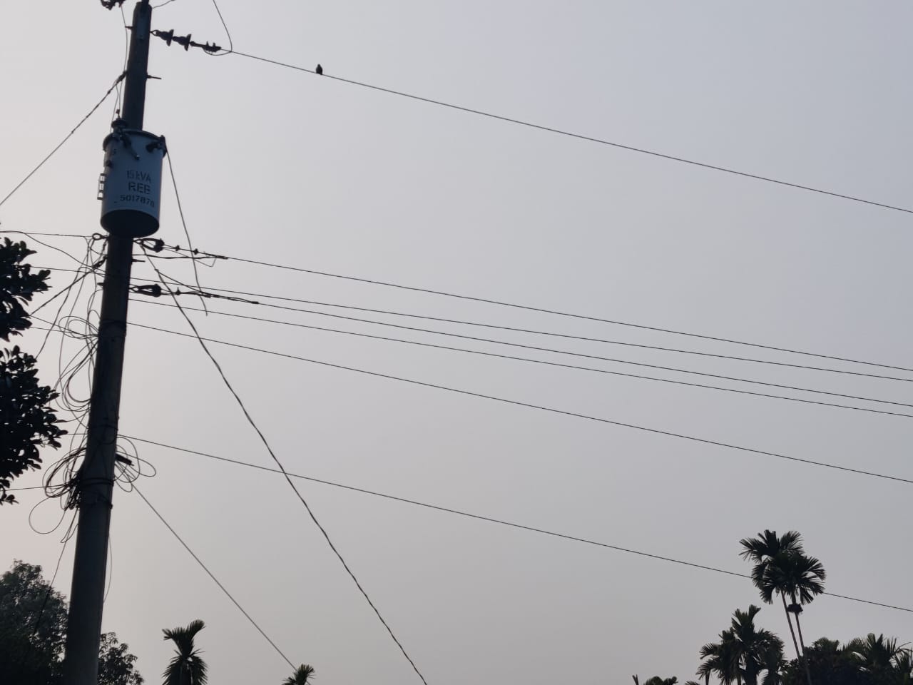 1000021127.jpg