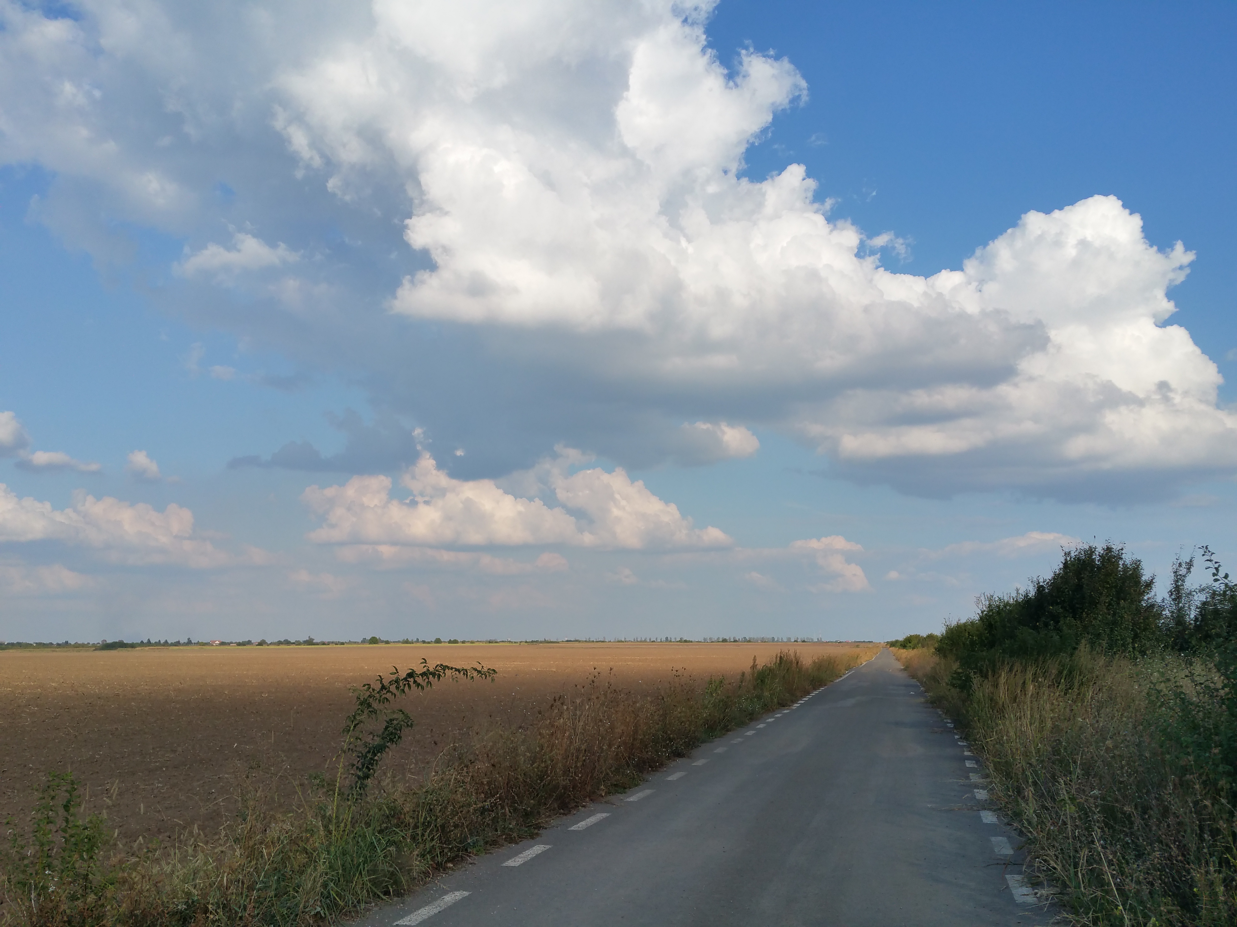 20180913_172512.jpg