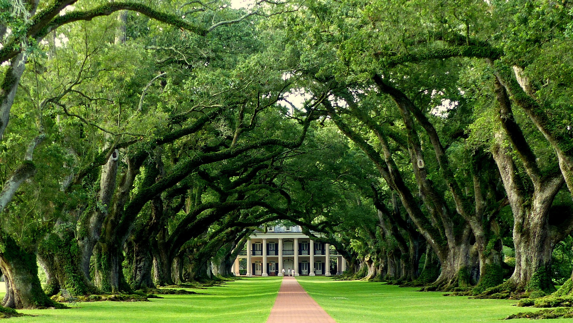 oak-5735775_1920.jpg