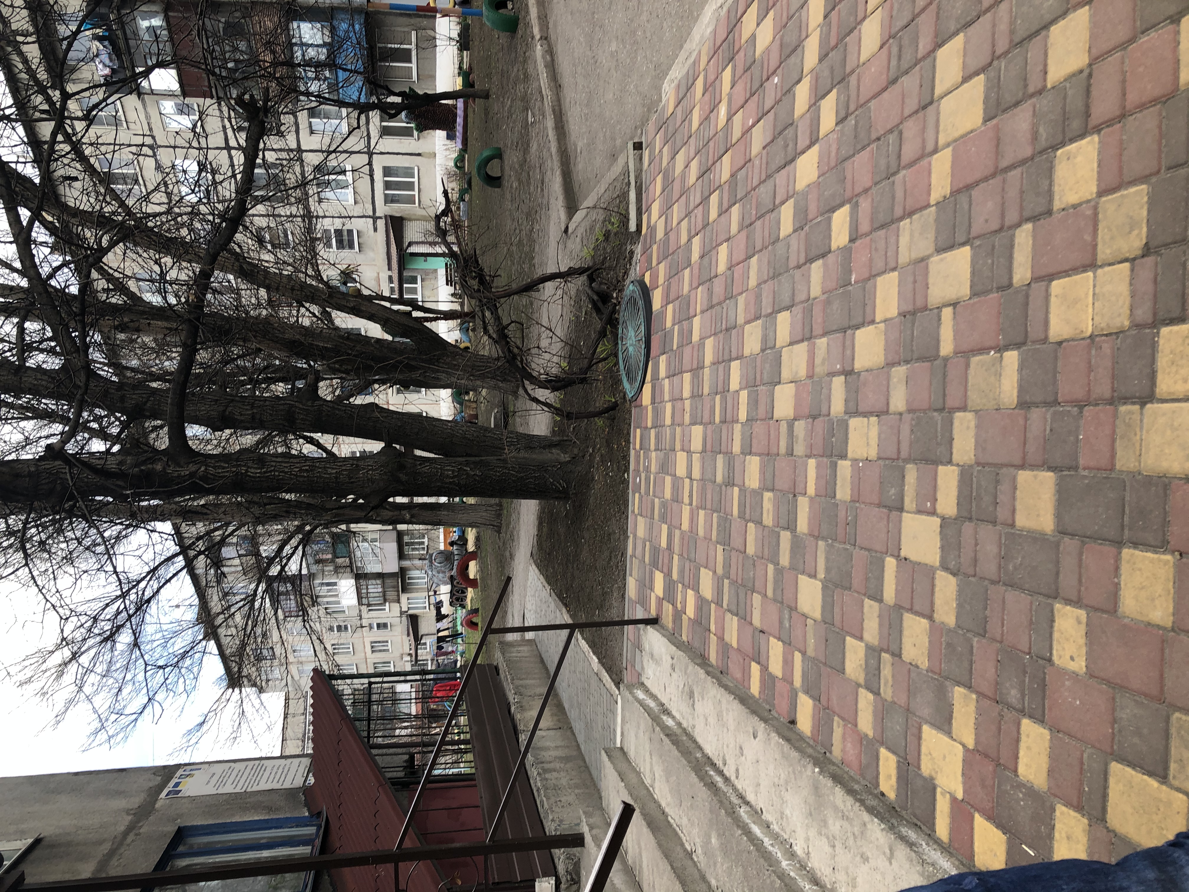 B09588A4-C3DC-44B9-8826-44D02F6161ED.jpeg