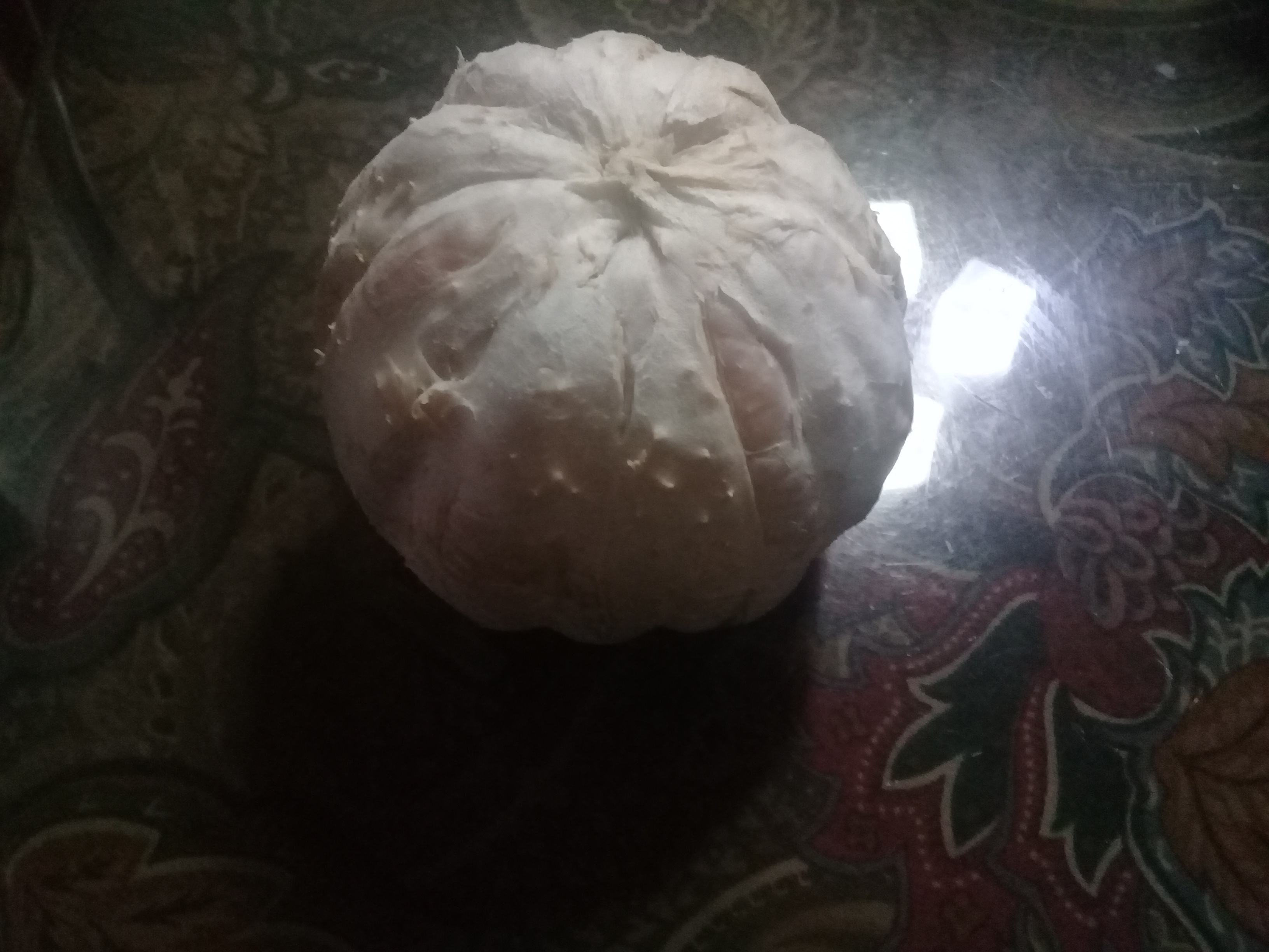 20181115_180624.jpg