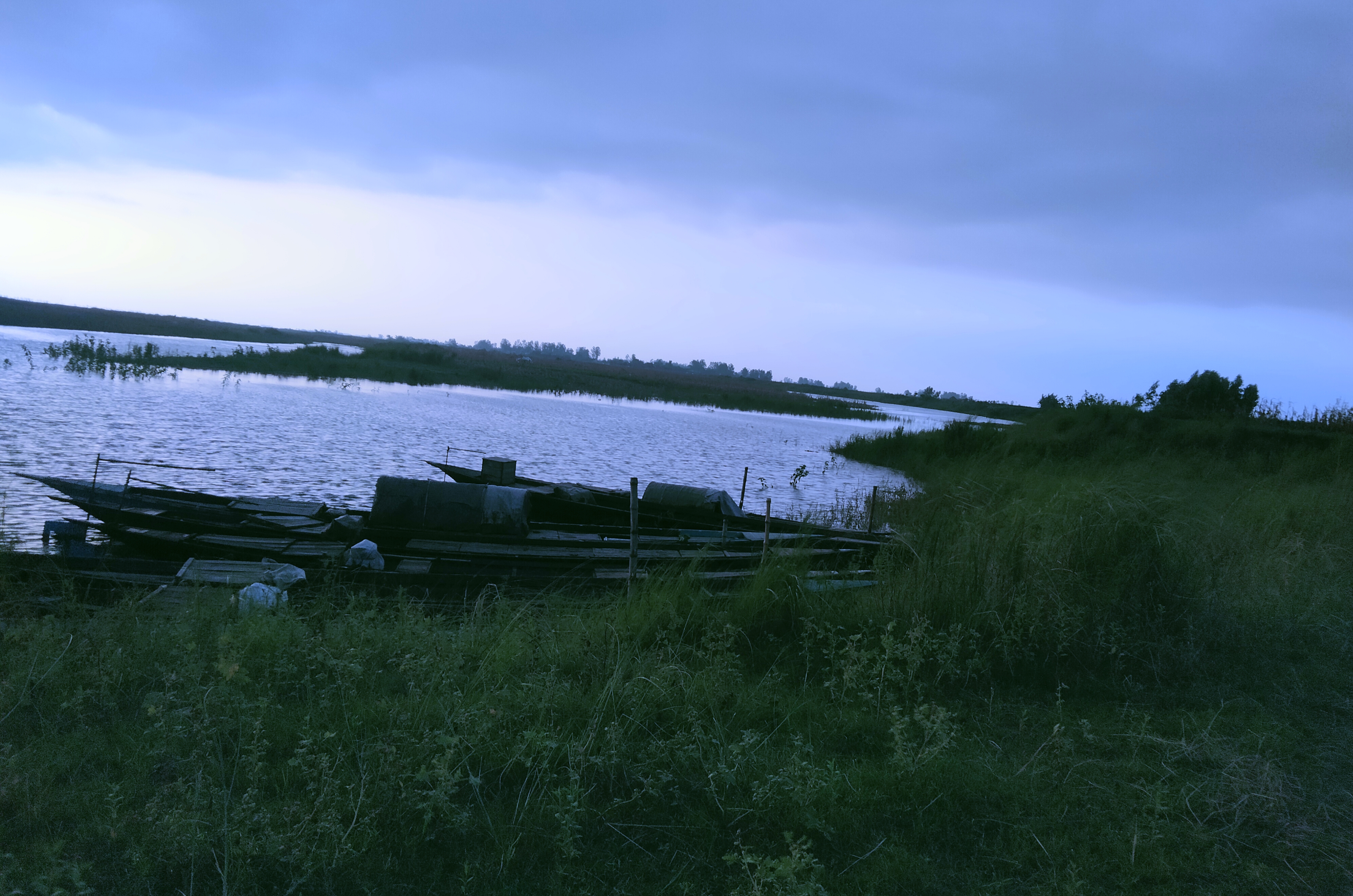 IMG_20260530_174315.jpg