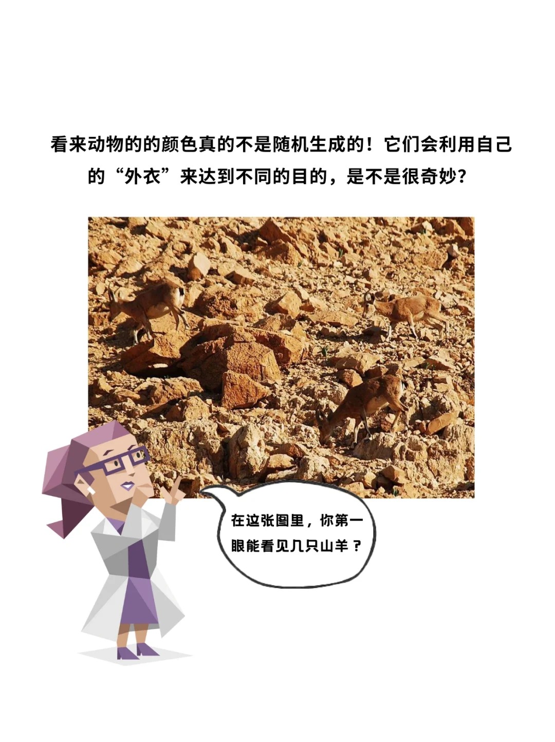 科普一分钟_ 动物长这样究竟是谁“规定”的❓_10.jpg