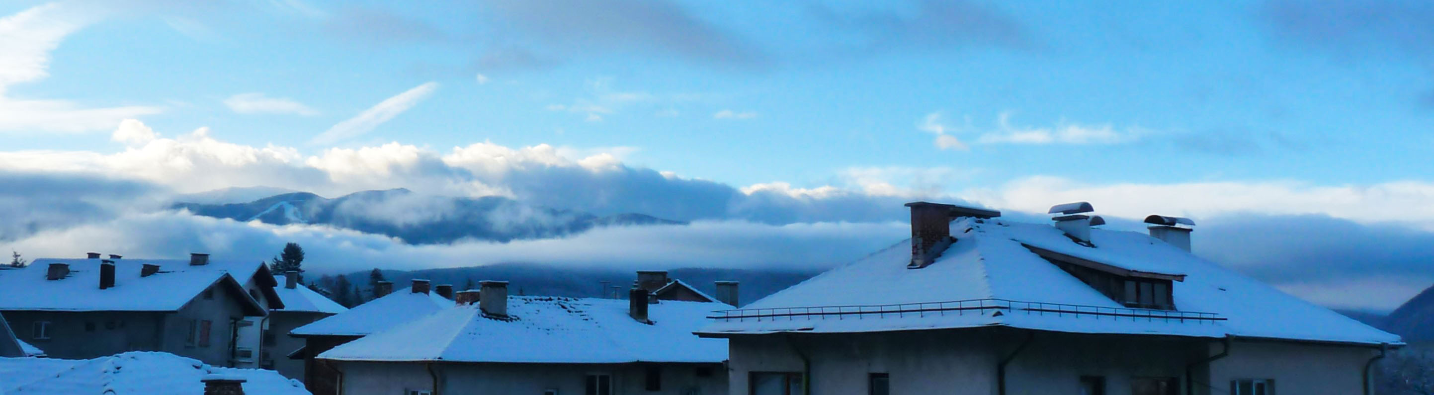 P1290007.jpg