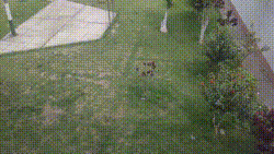 bloggif_61b262f029ce1.gif
