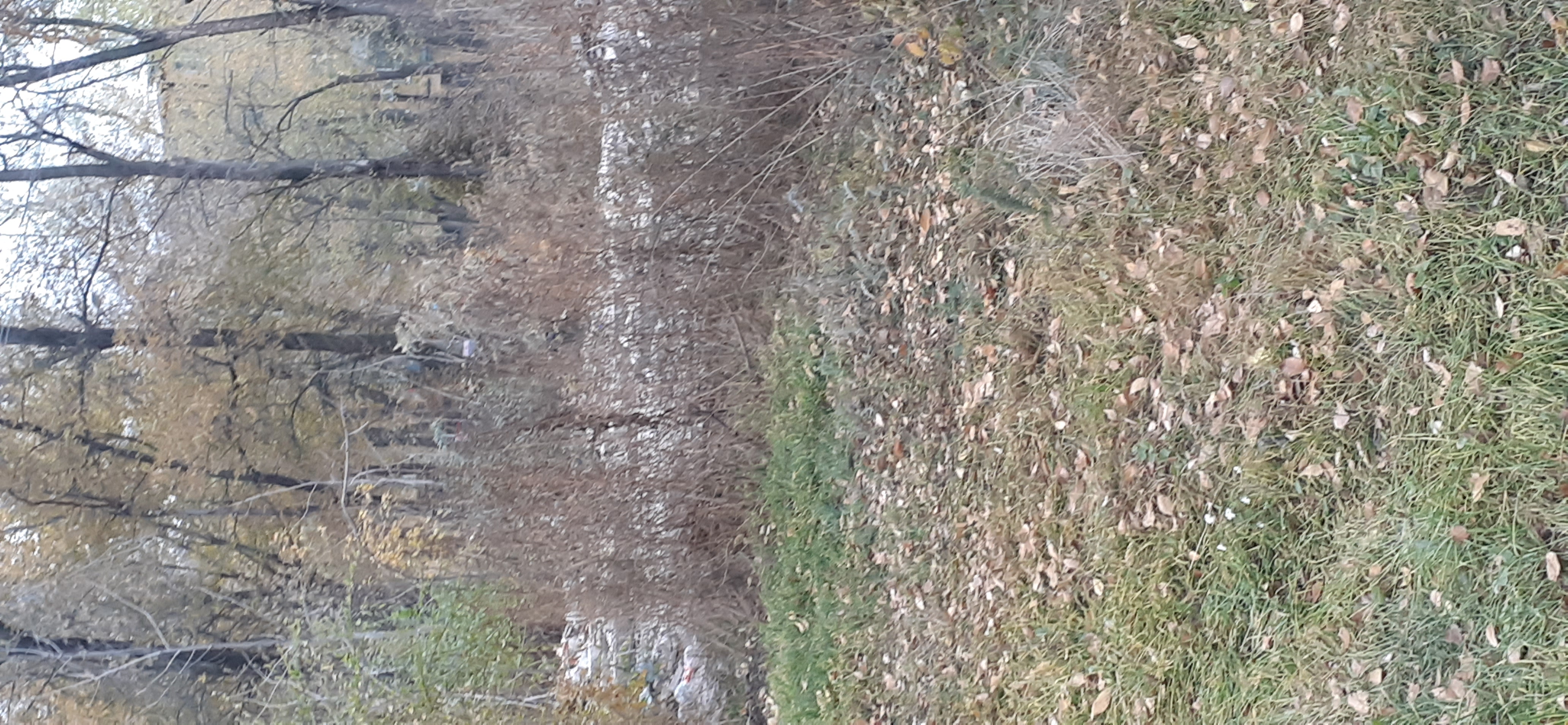 20201116_143629.jpg