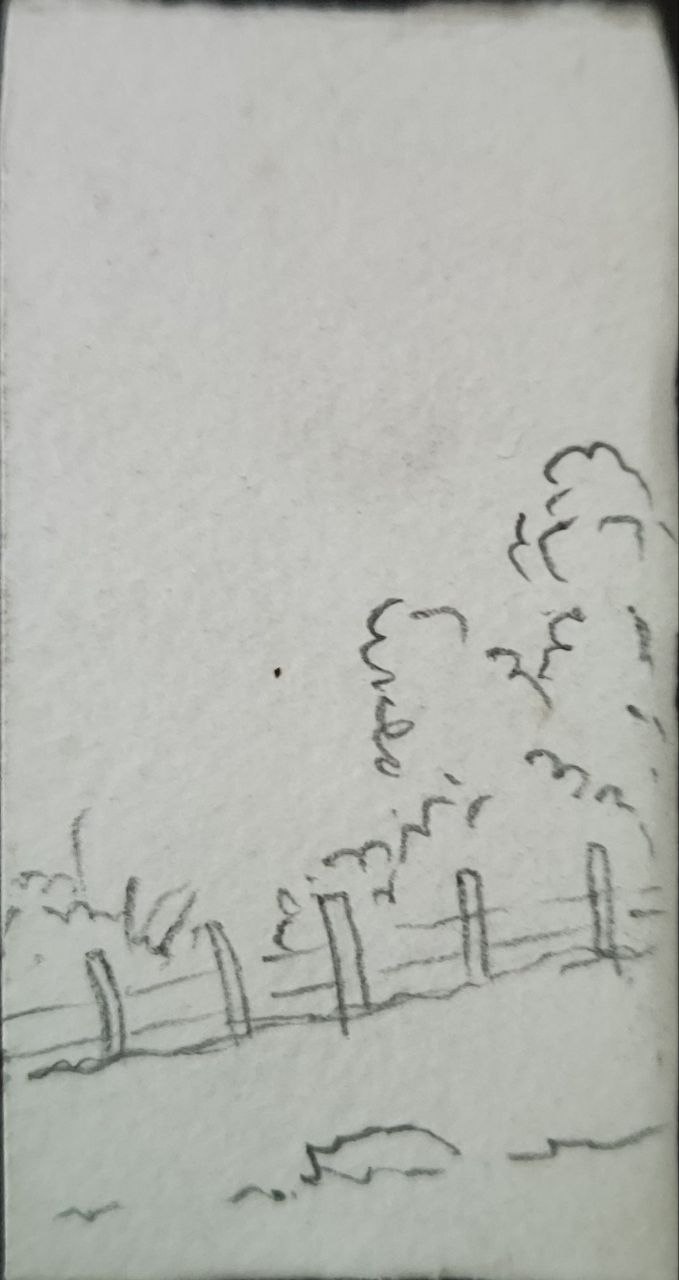 barnview.jpg