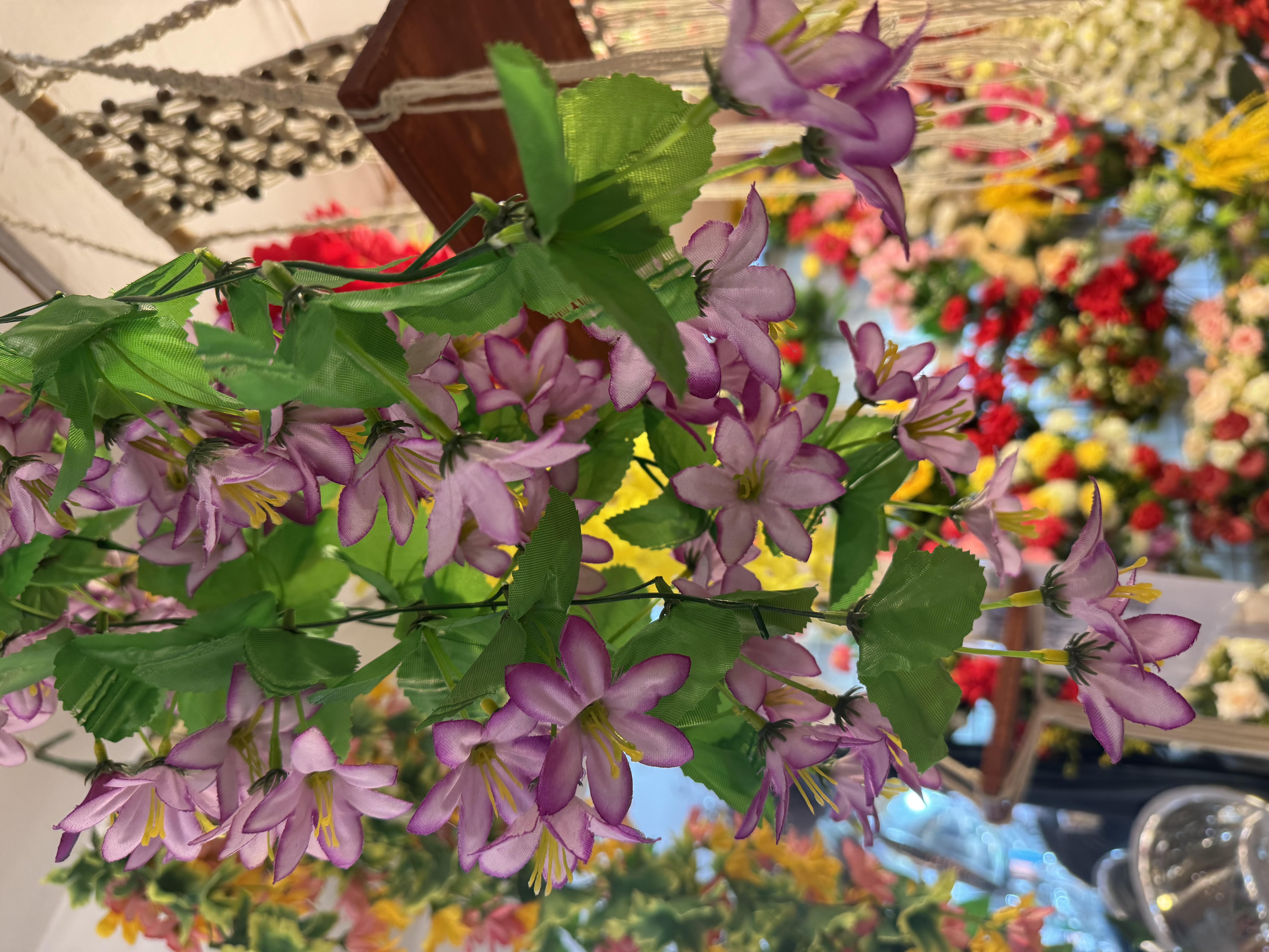 IMG_1665.jpeg