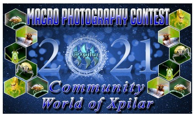 Bxod1Y9Z4SQvHpXs1WzBaGwb98frHxzWanRUCoG67GmFPhnqrPxL7na27YMbHU6z1wegKDmtp6oLrnpb84YfoyEQLMfL8dAAvPTa81FVL6mWHYdbnMeFHj2RouiuG9...BDXYF2TJ3qEhFskioCsXpJ5DHQj2kiLhAuzfRu1Ewv4pm8nKndd4yNEXGzYeHnWsp62p1FZgJdaao9ecTsjiJrxkZzoYdMrgzmdxKSywLXAoZxWF9NdwhN6WS.jpeg