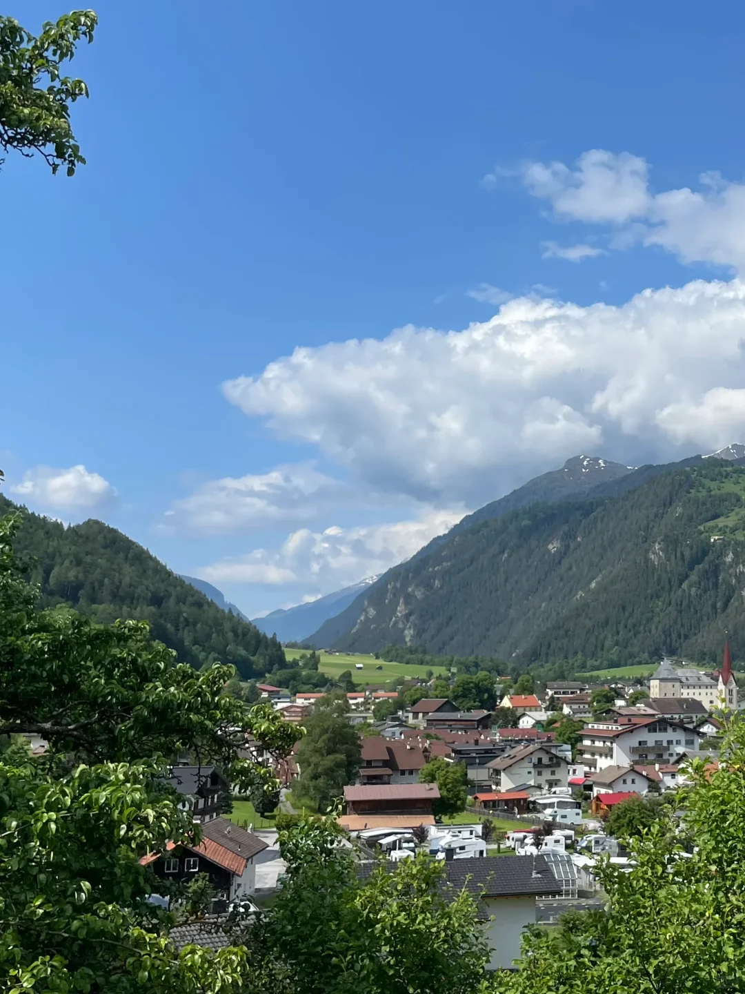 295.webp