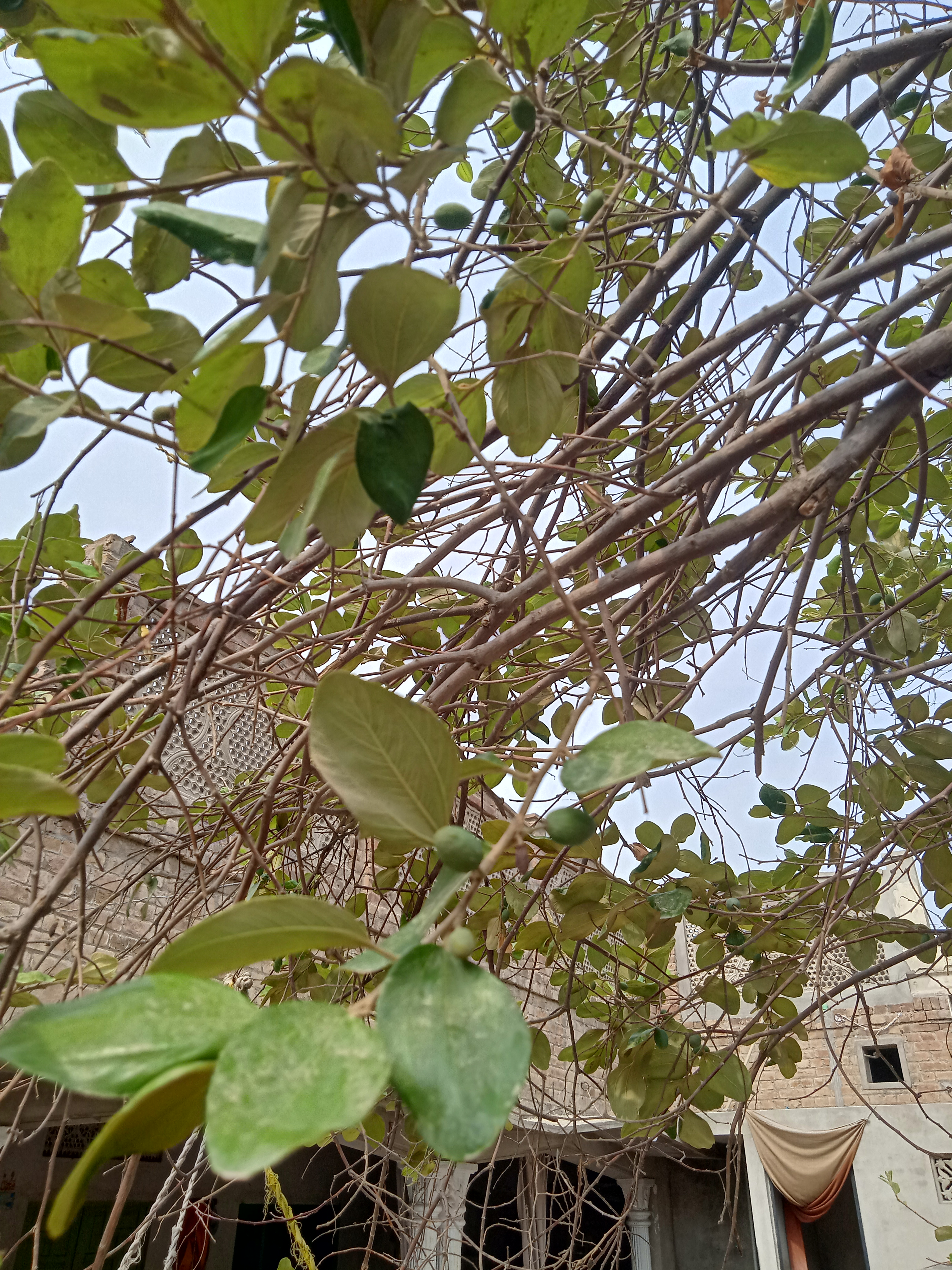 IMG20210712152230.jpg