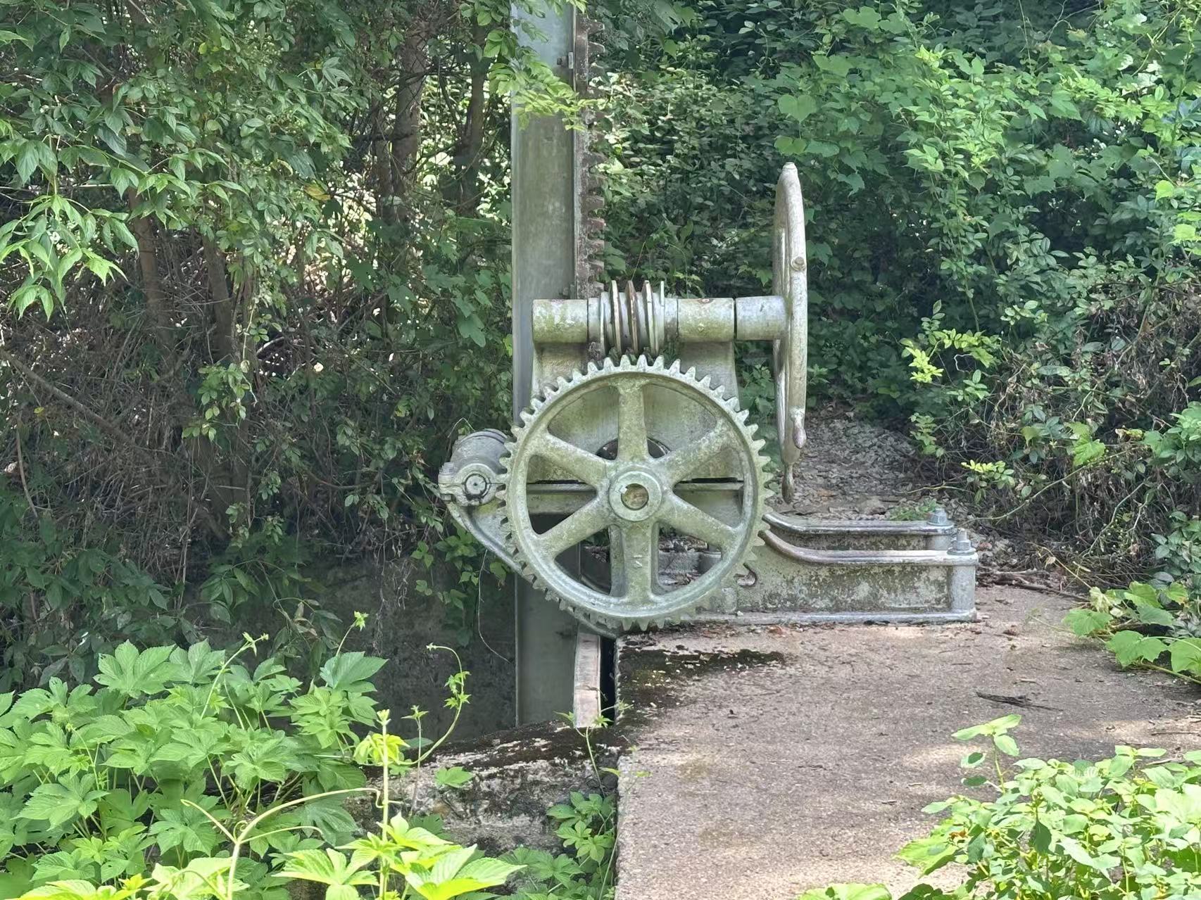 WechatIMG2129.jpg