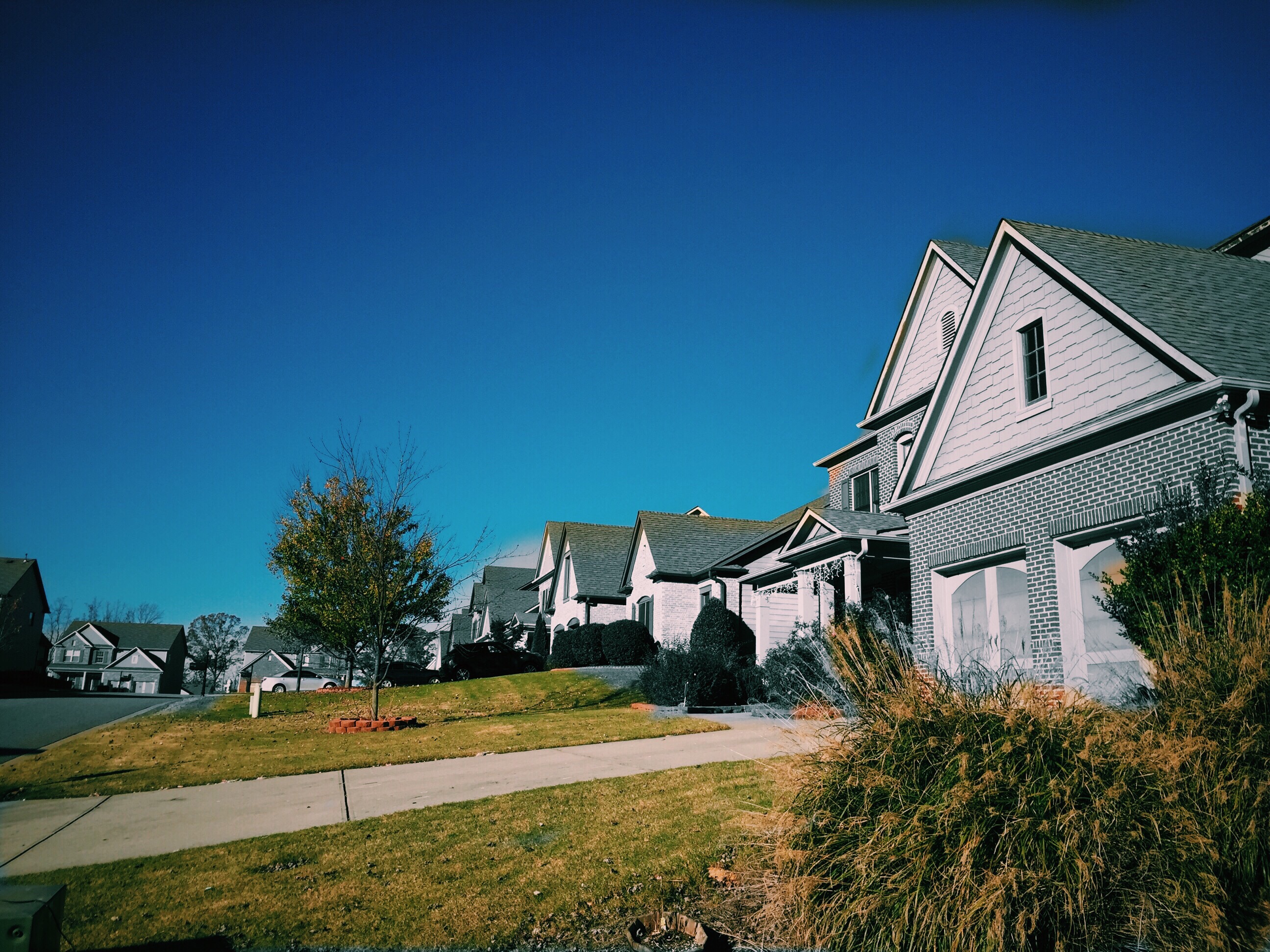 neighborhood-2026-01-07-00-45-15-utc.jpg