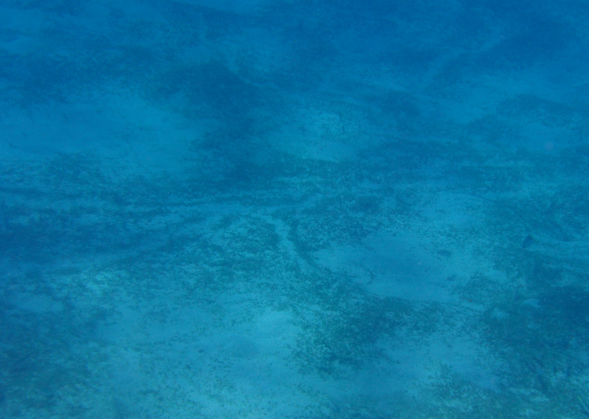 P3110049.jpg