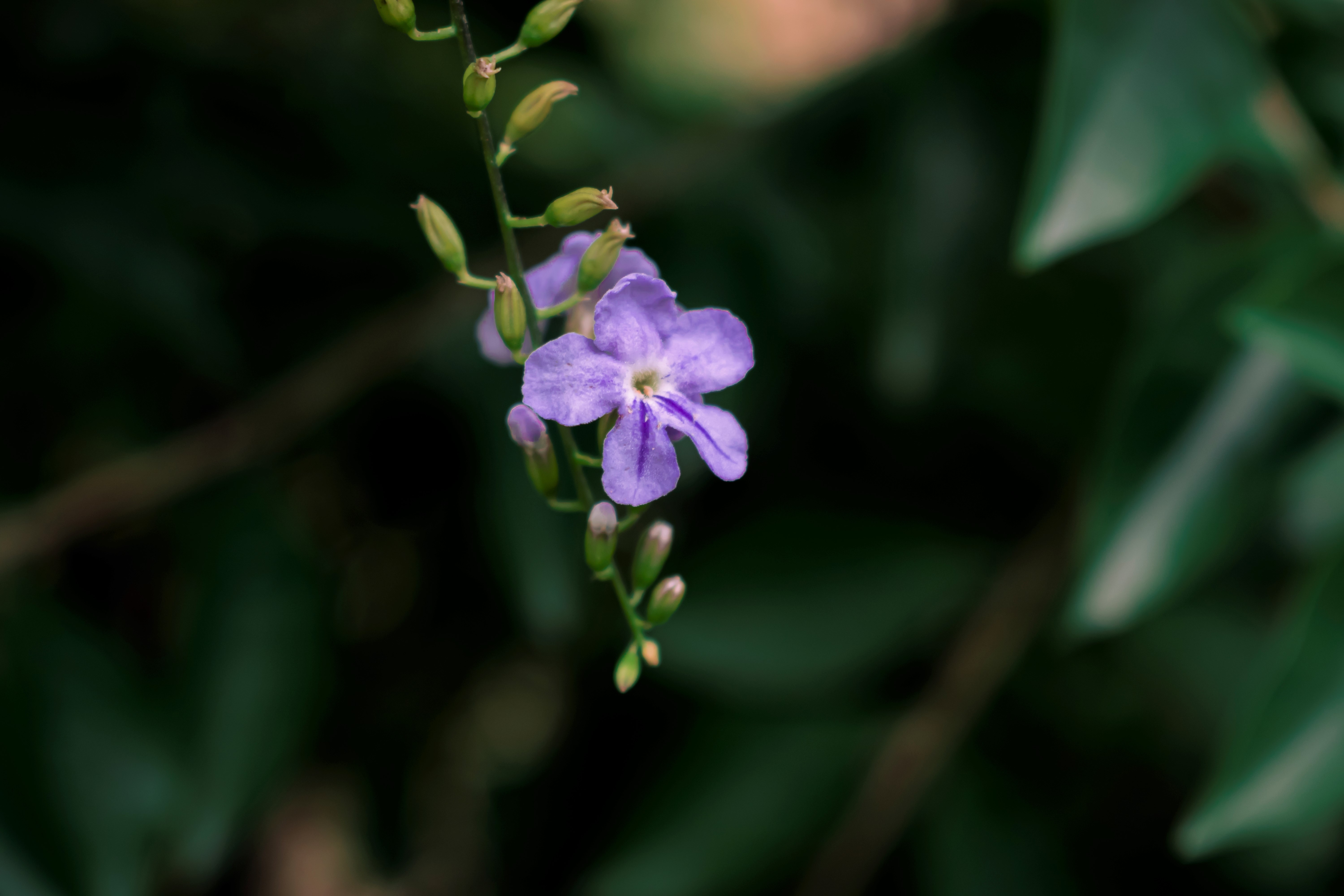 CHN_0374.jpg