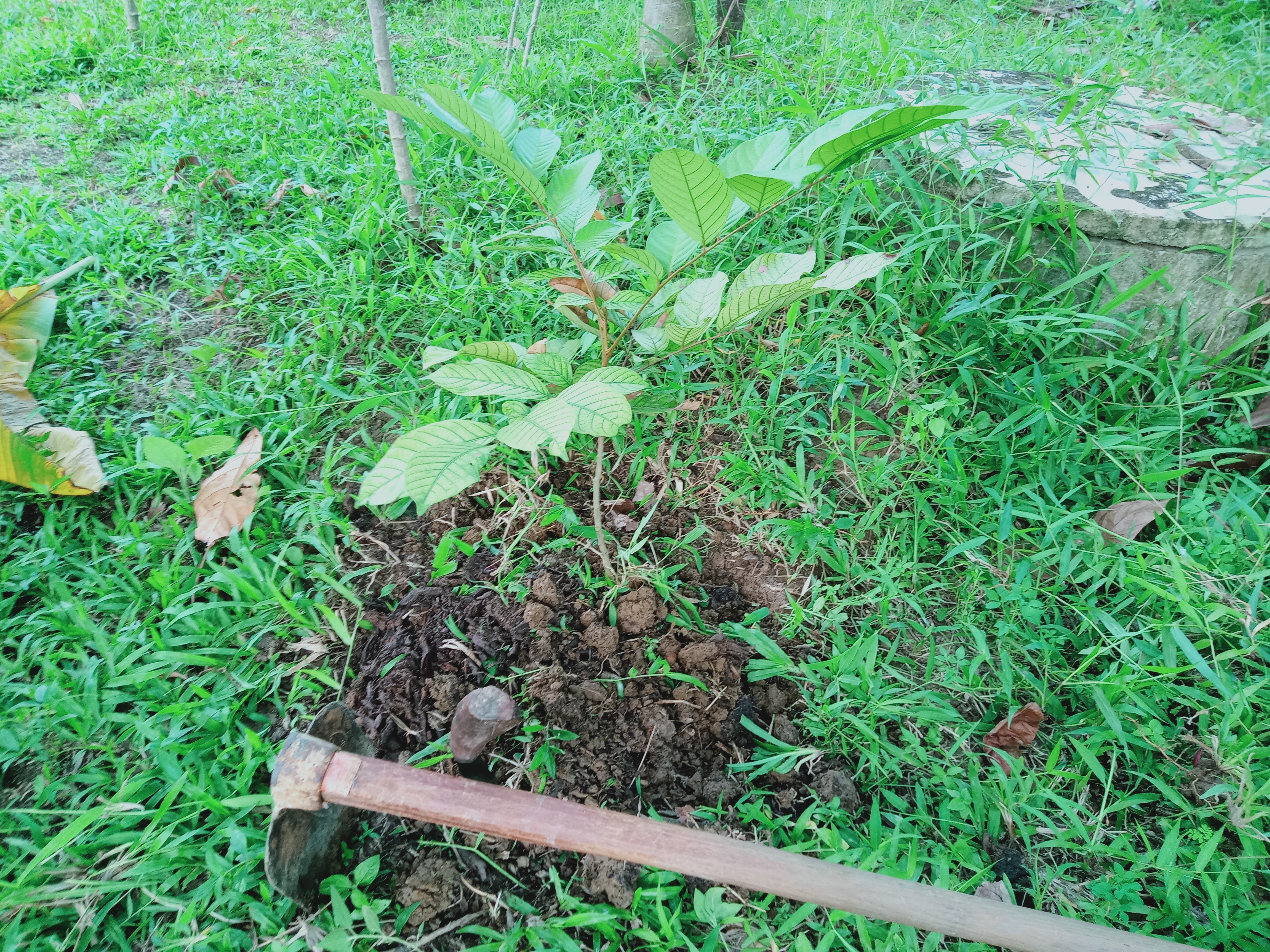 IMG20210907174802.jpg