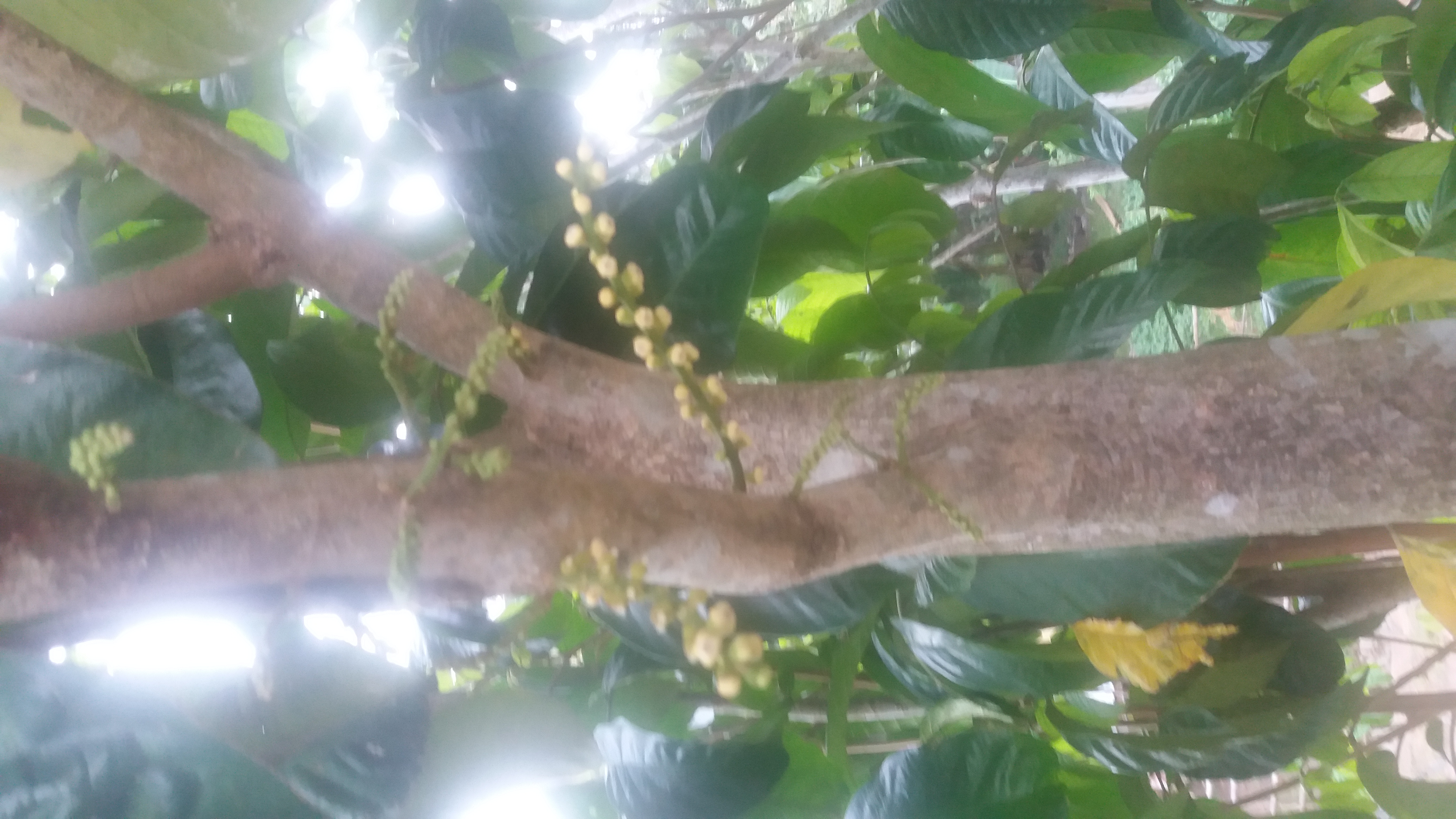 20180620_063057.jpg