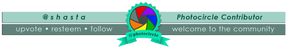shasta2018july30th47photocircle7io.png