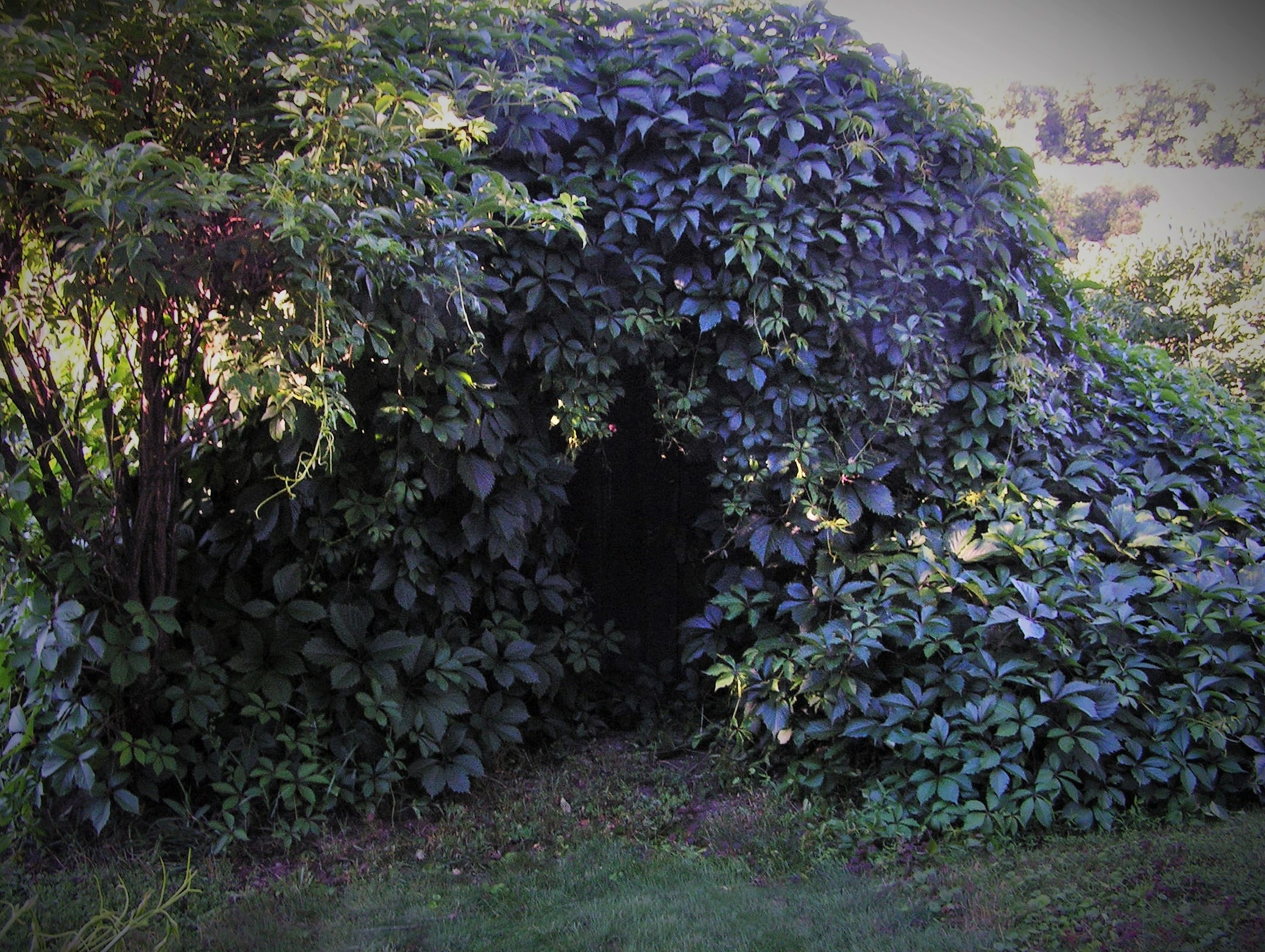 PICT0153_cr (2).jpg