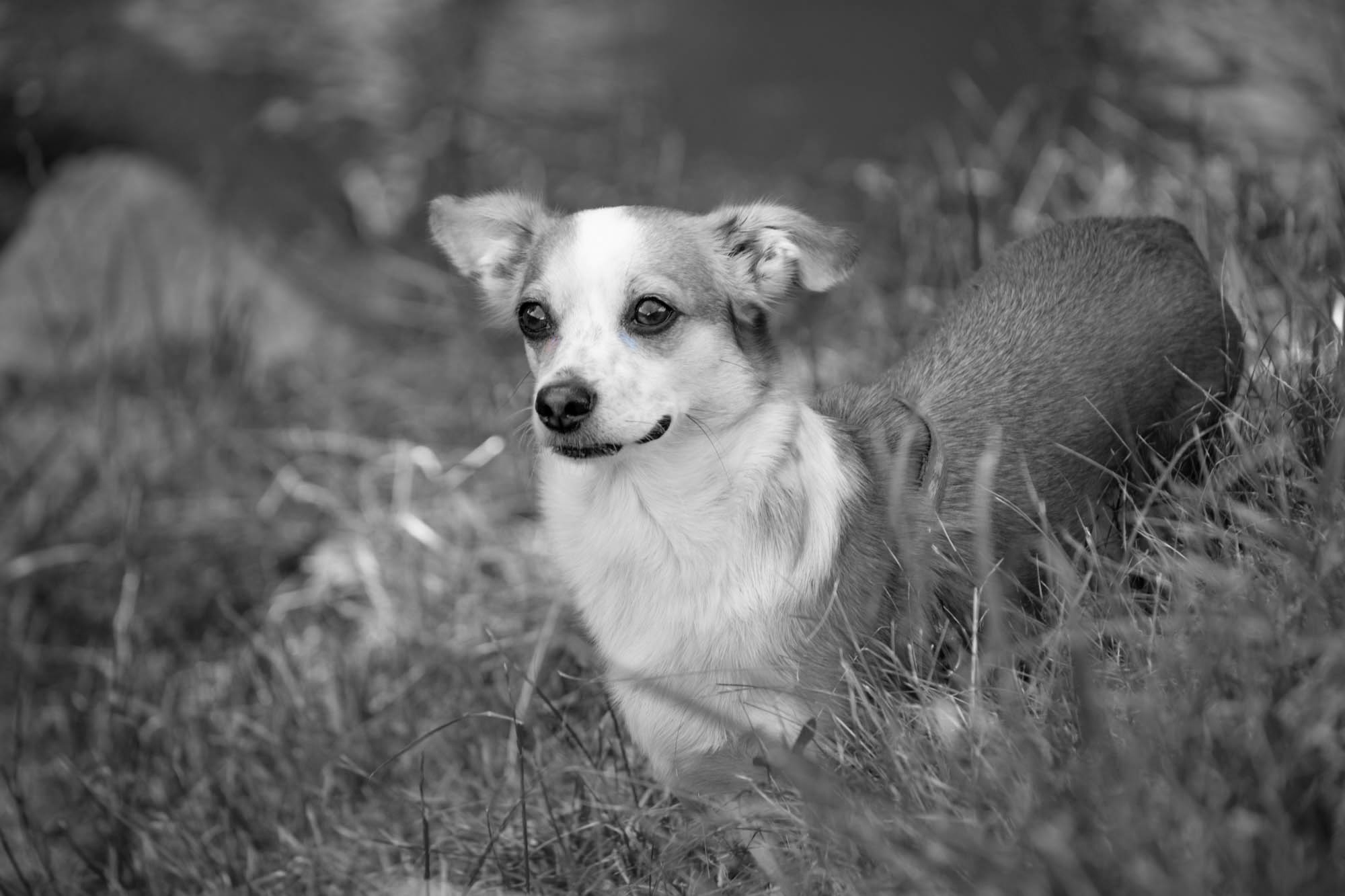 DSC_0139.jpg