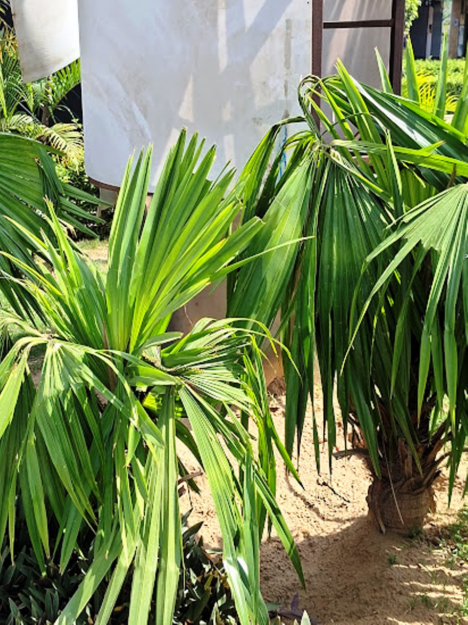20260516_094331.jpg