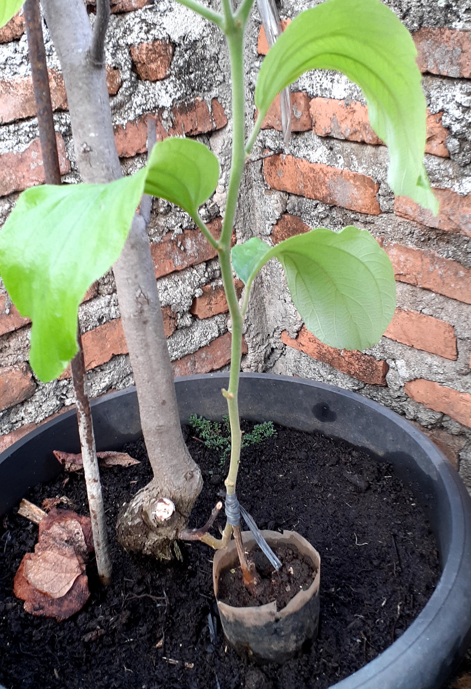 20200915_200612.jpg