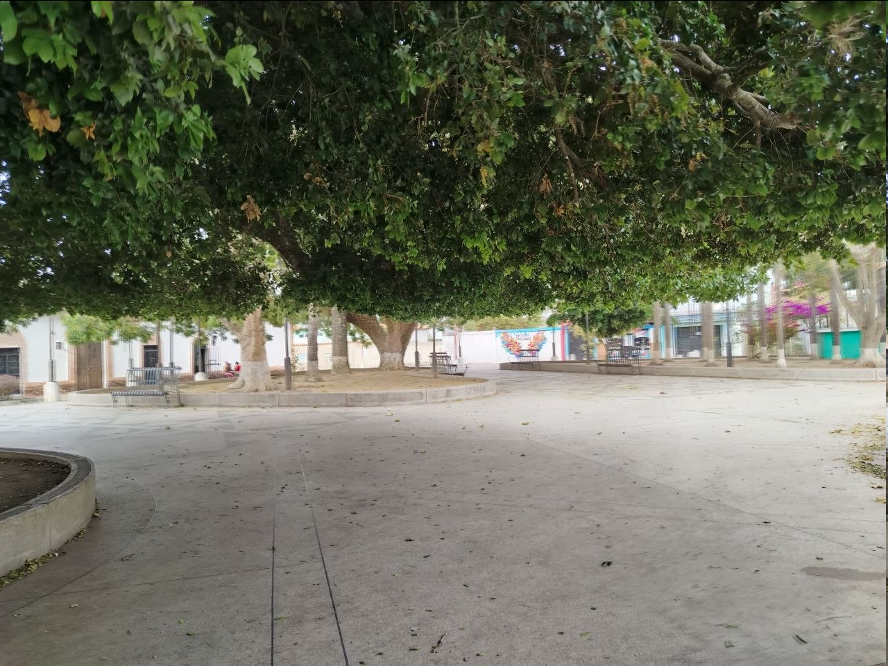 imagen.png