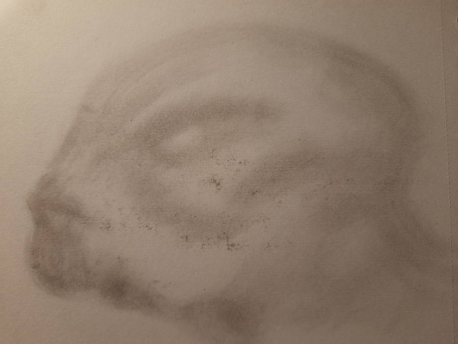 20260717_101509.jpg