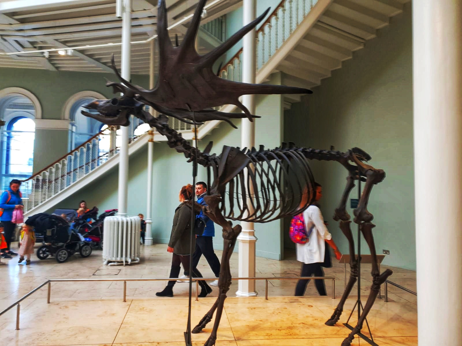 IMG-20190130-WA0208-01.jpeg