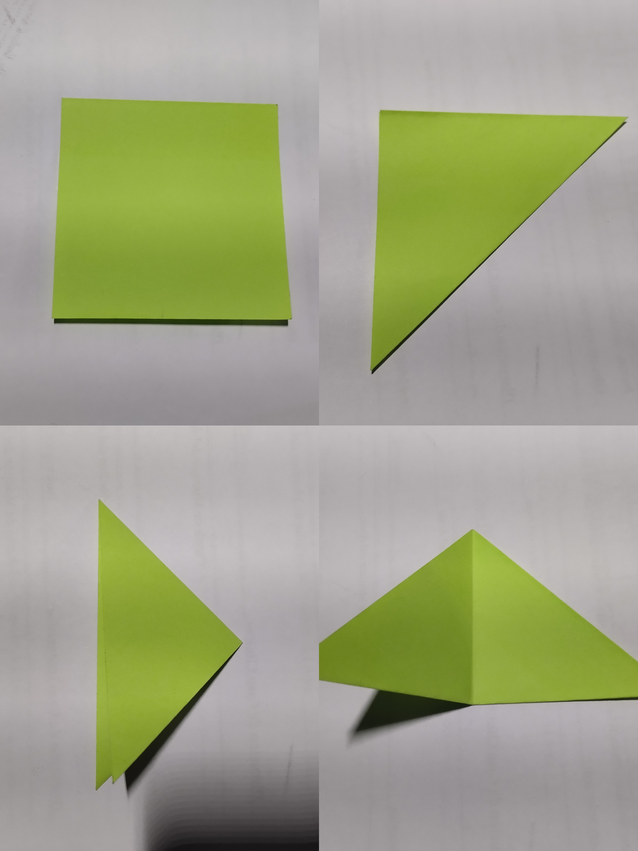 1000074579.jpg