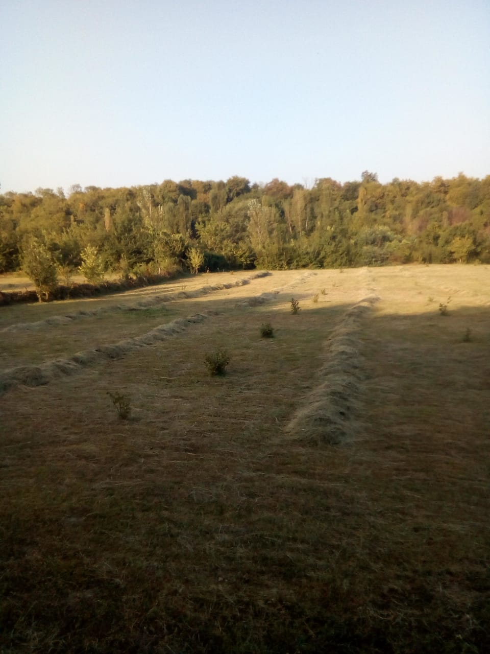 IMG-20180908-WA0003.jpg