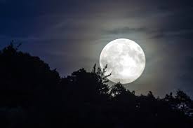 luna.jpg