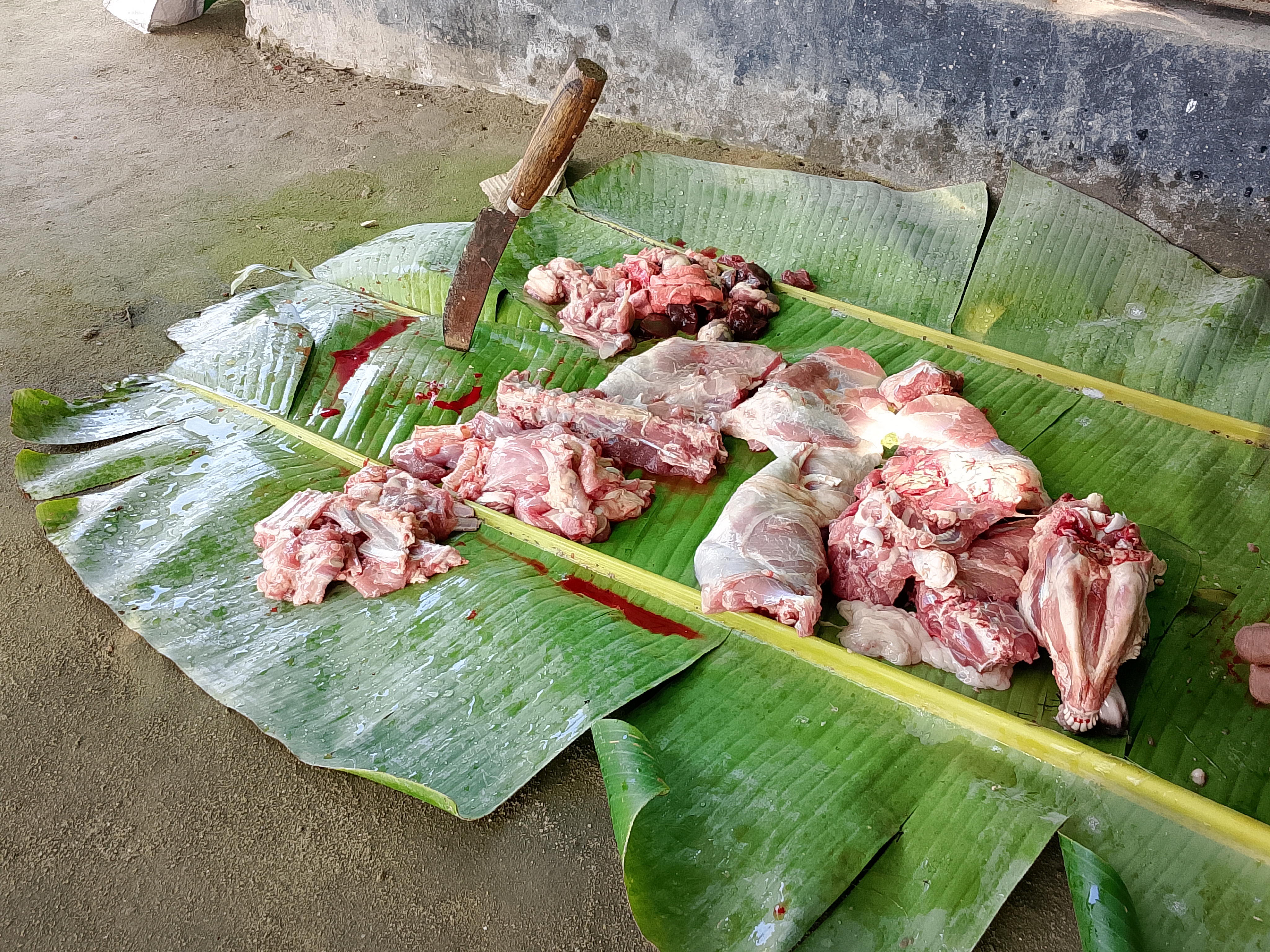 The goat meat