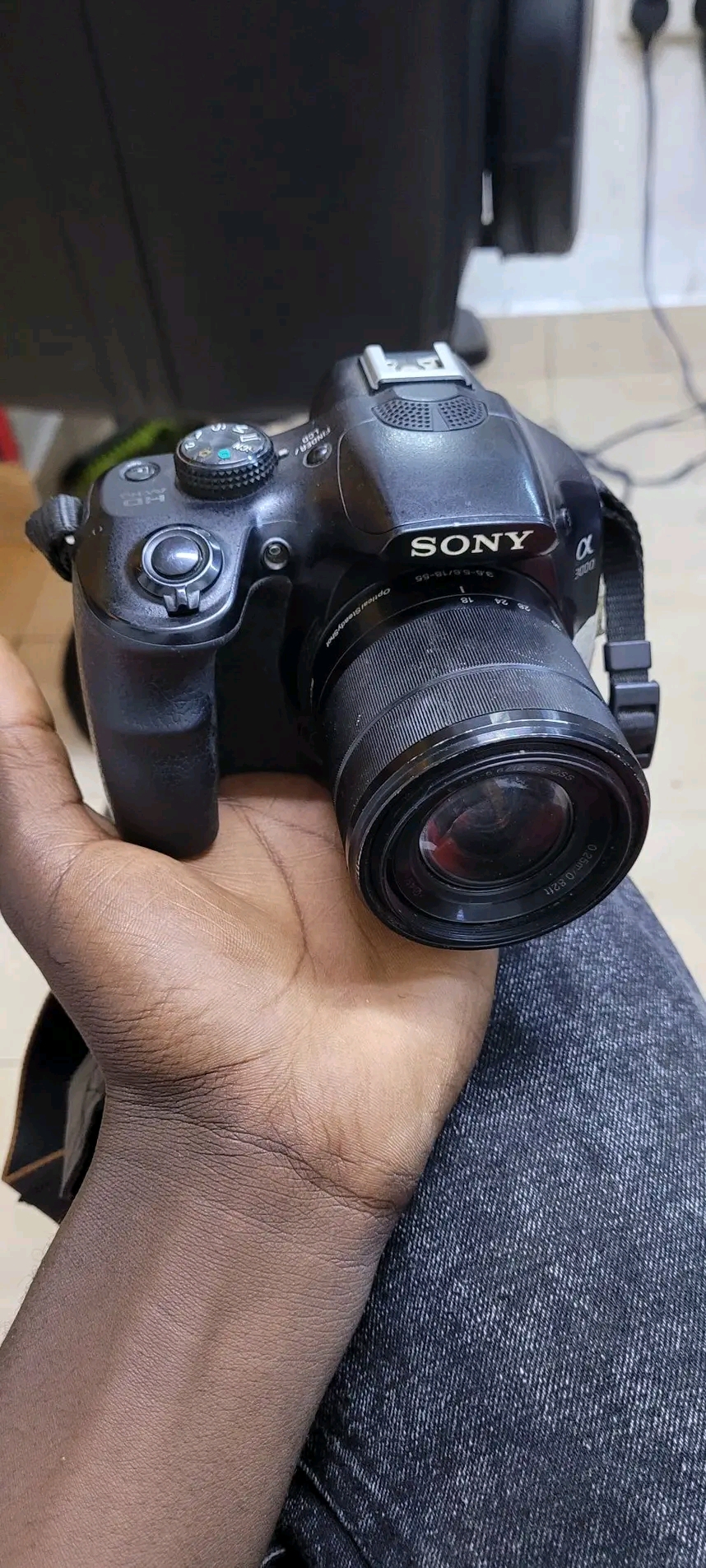 390383.jpg
