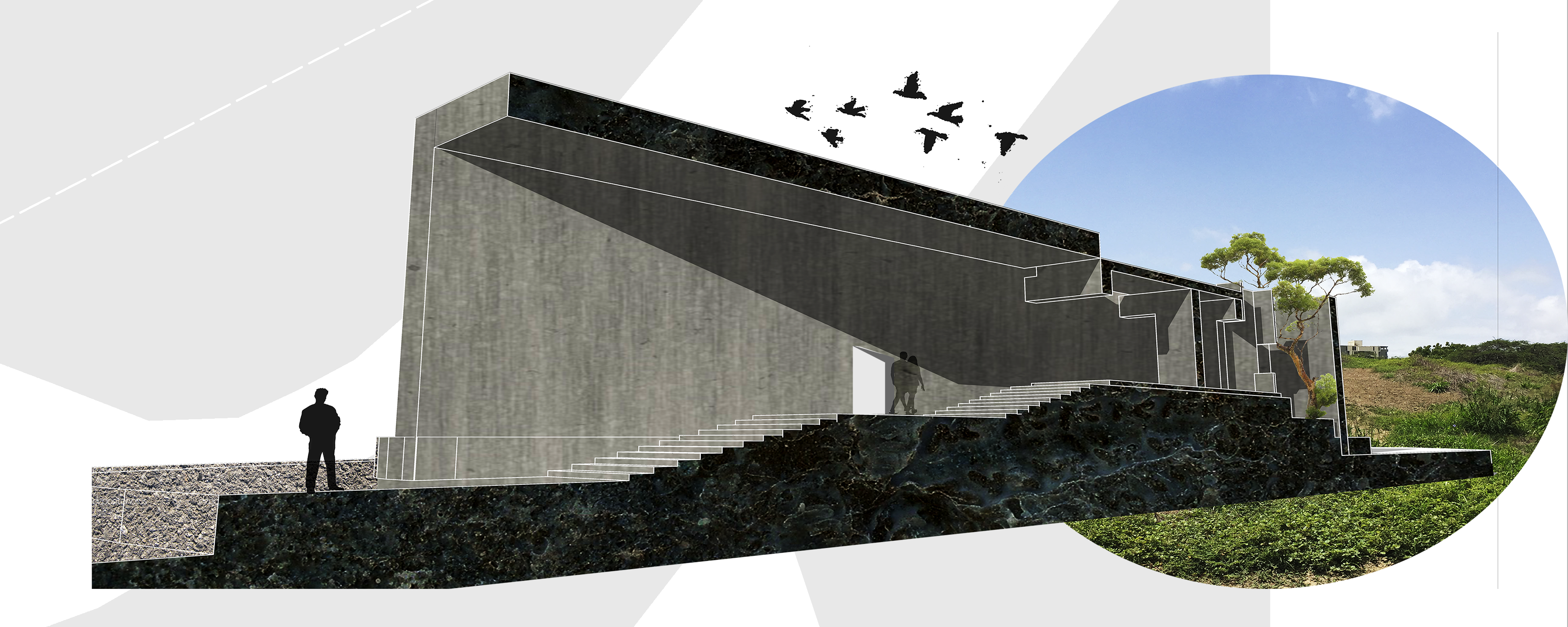 Collage.png