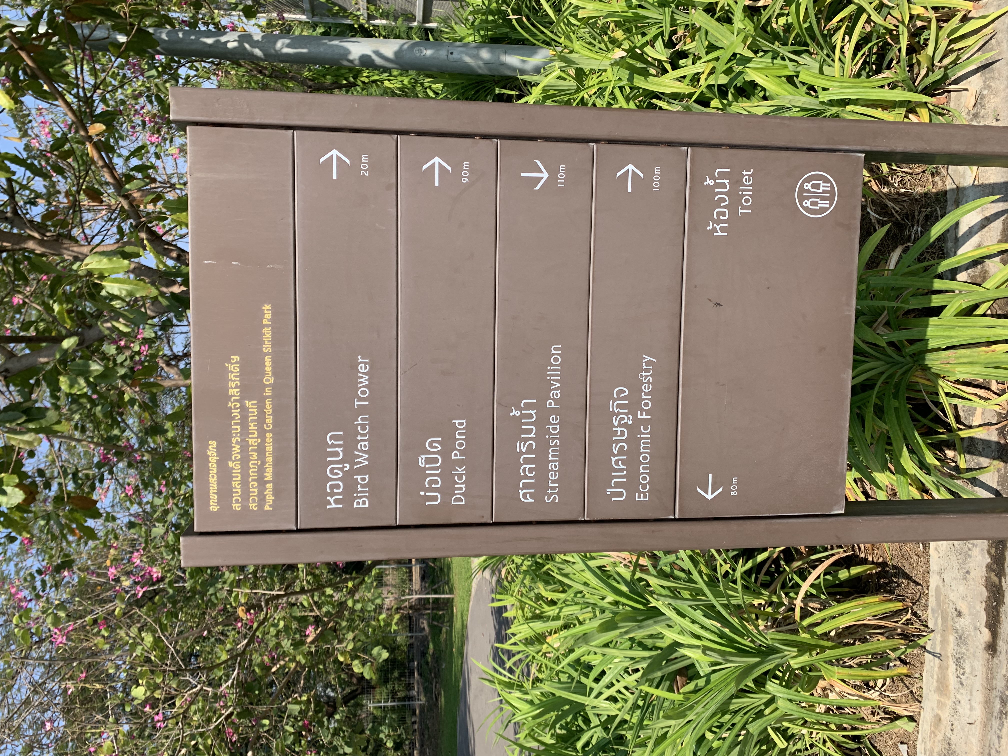 Queen Sirikit Park19.jpg